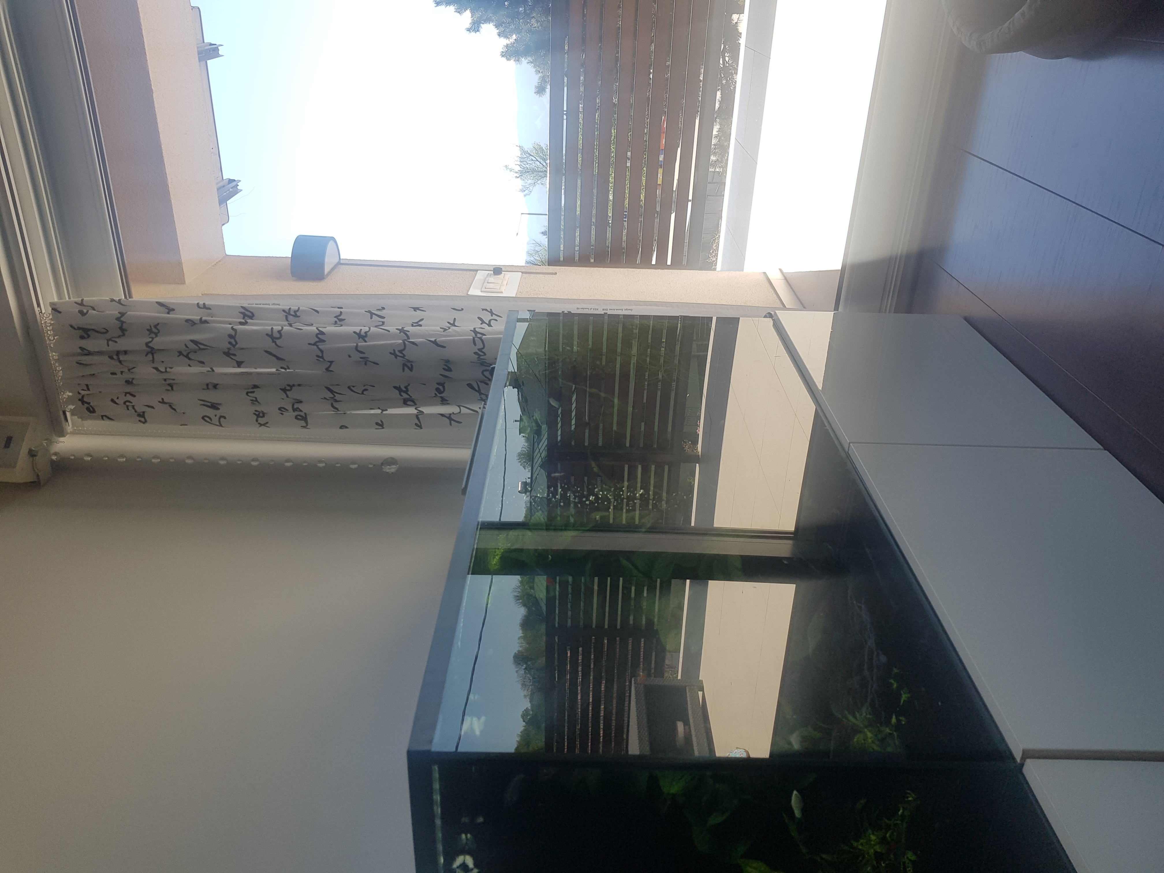 Vigella Art - Gabriela Horáčková Voštináková foto 5