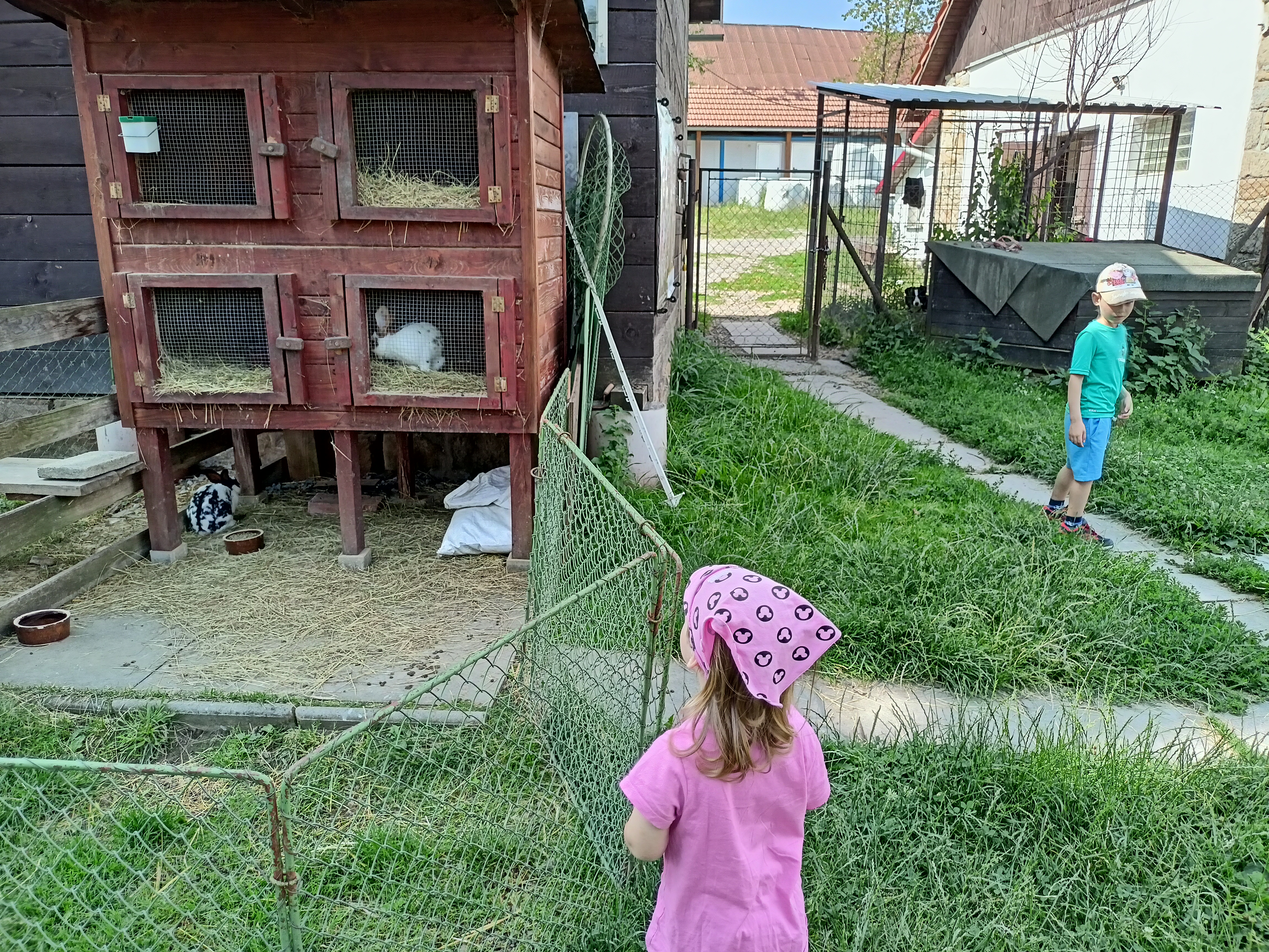 Kozí farma ZERLINA foto 5