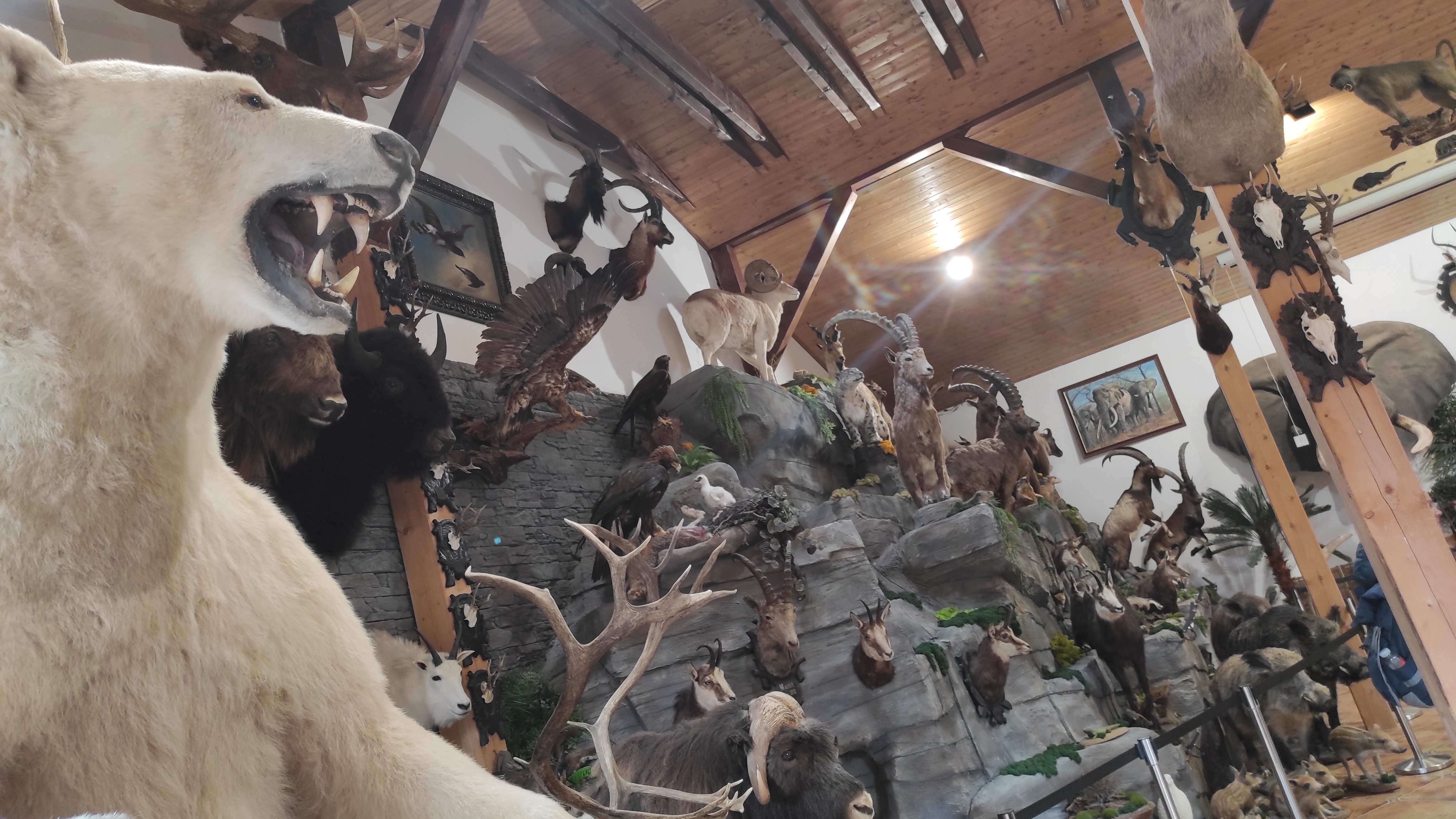 Nabíjecí stanice Africké muzeum Safari foto 3