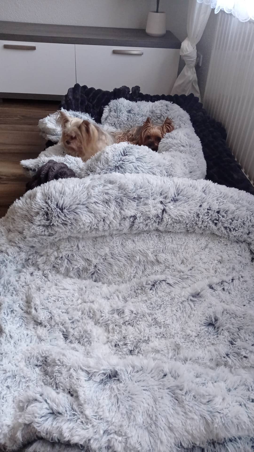 Veterinární klinika KVvet, s.r.o. foto 2