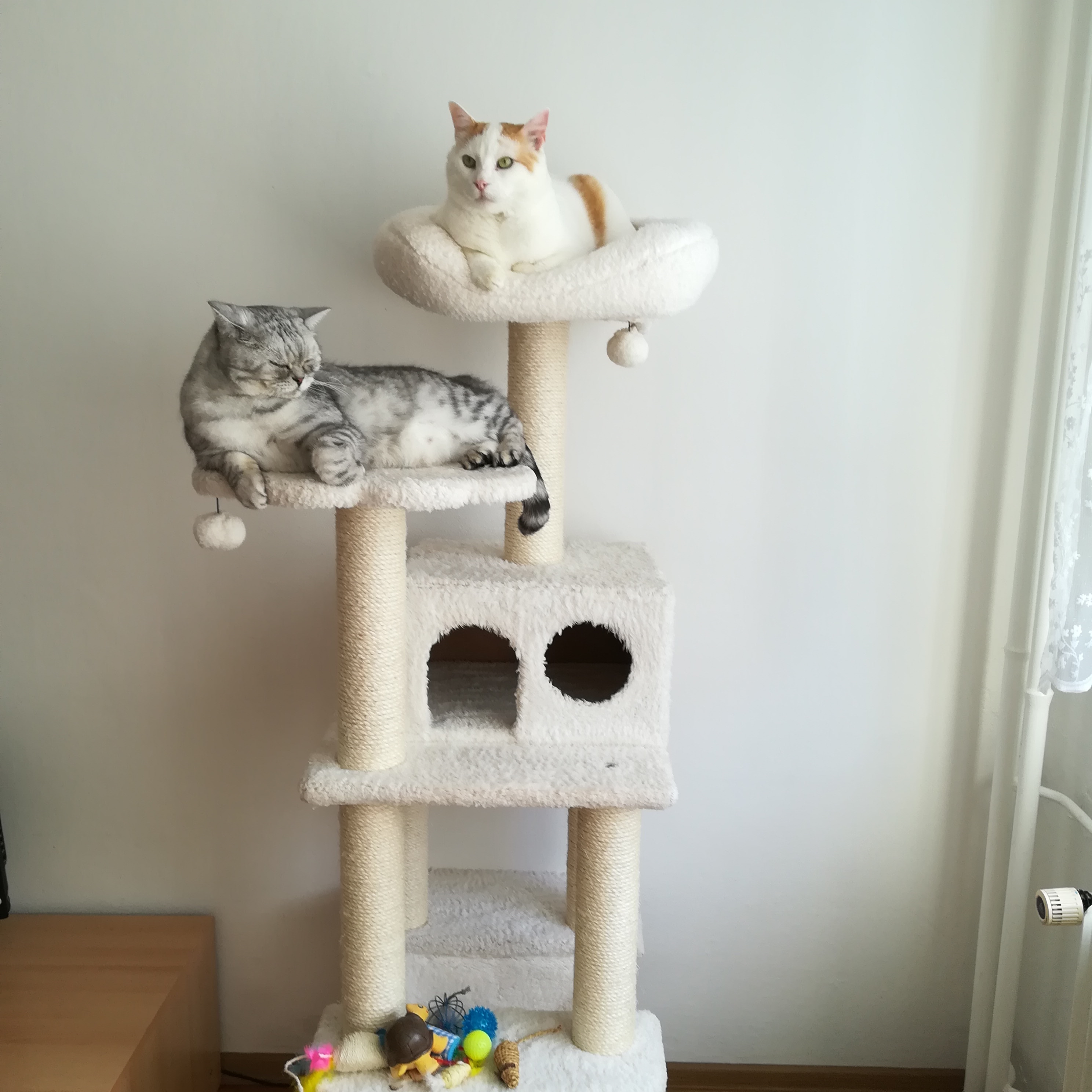 Veterinární klinika VLTAVA foto 3