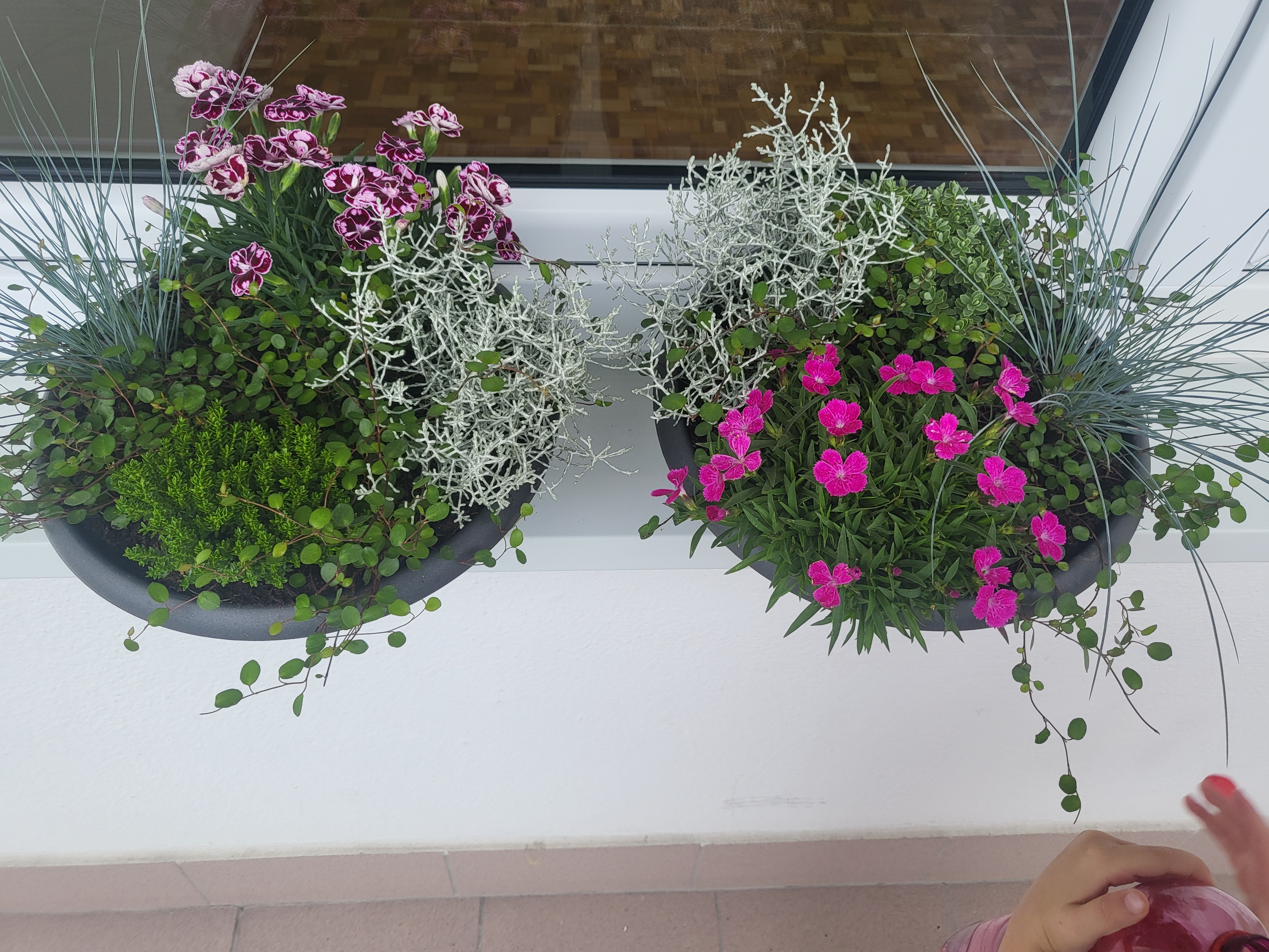 Květinářství Iris foto 2