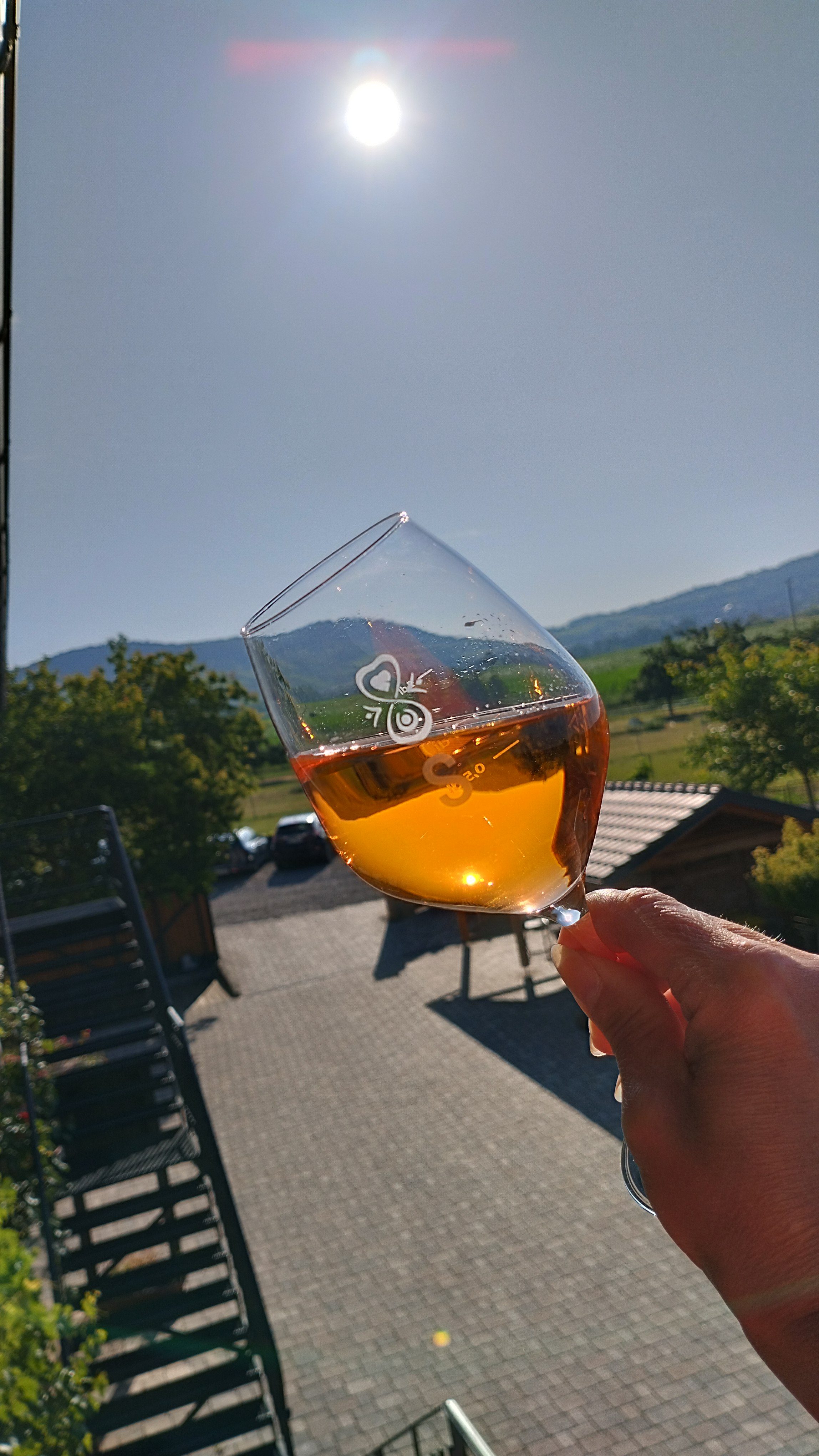 Vinařství Martin Šebesta foto 2