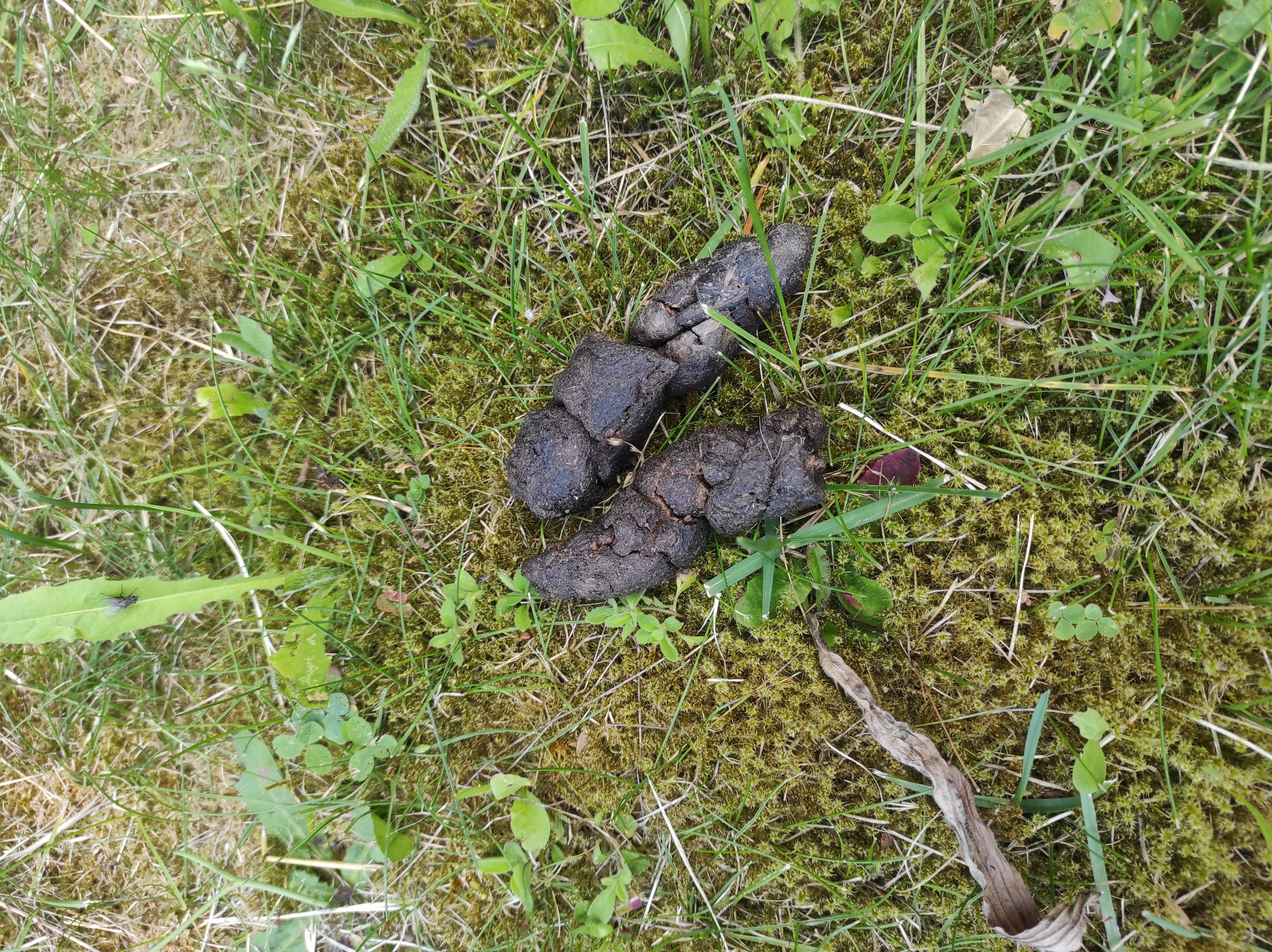 Chalupa u Michálků foto 5