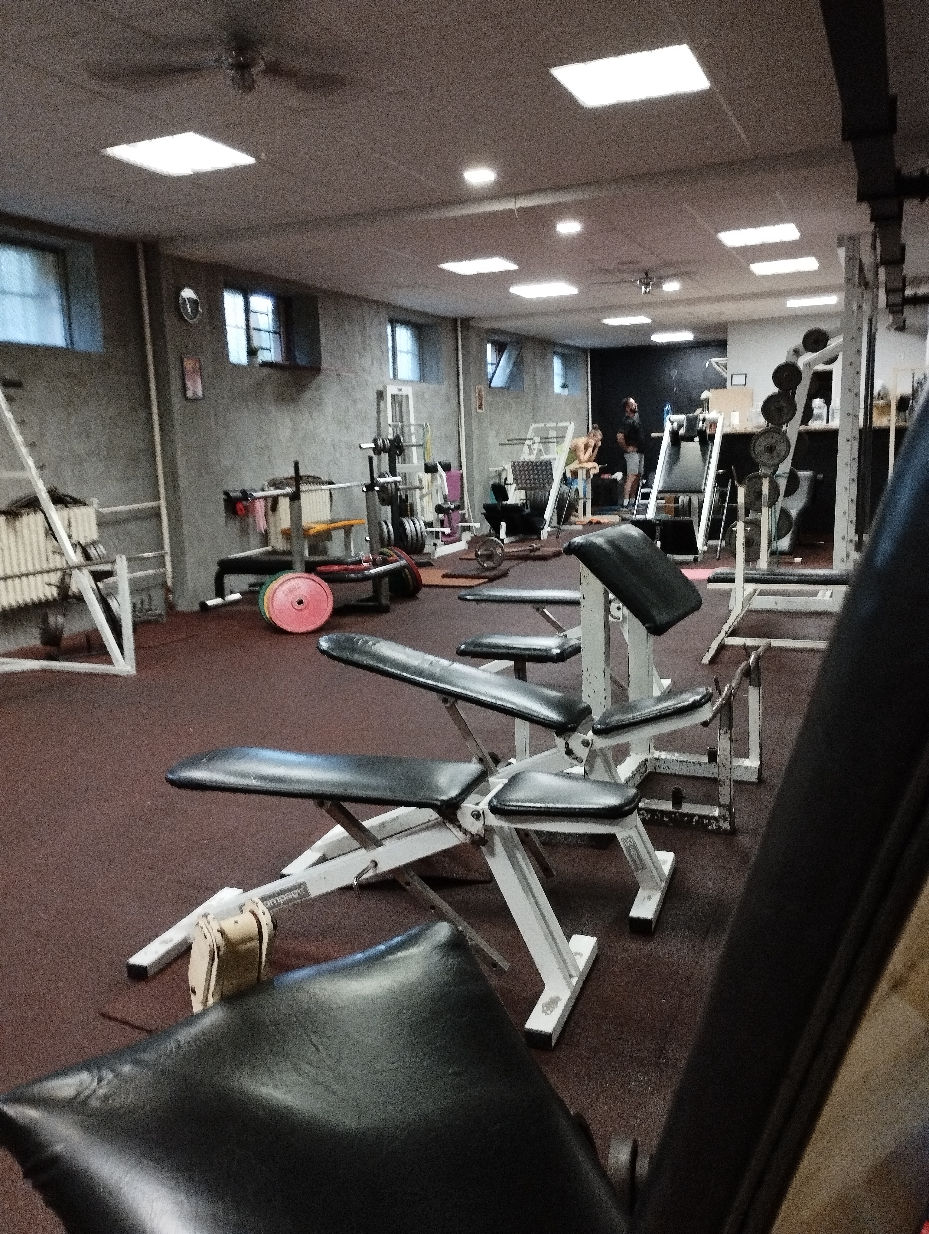 Davidovo Fitko foto 2