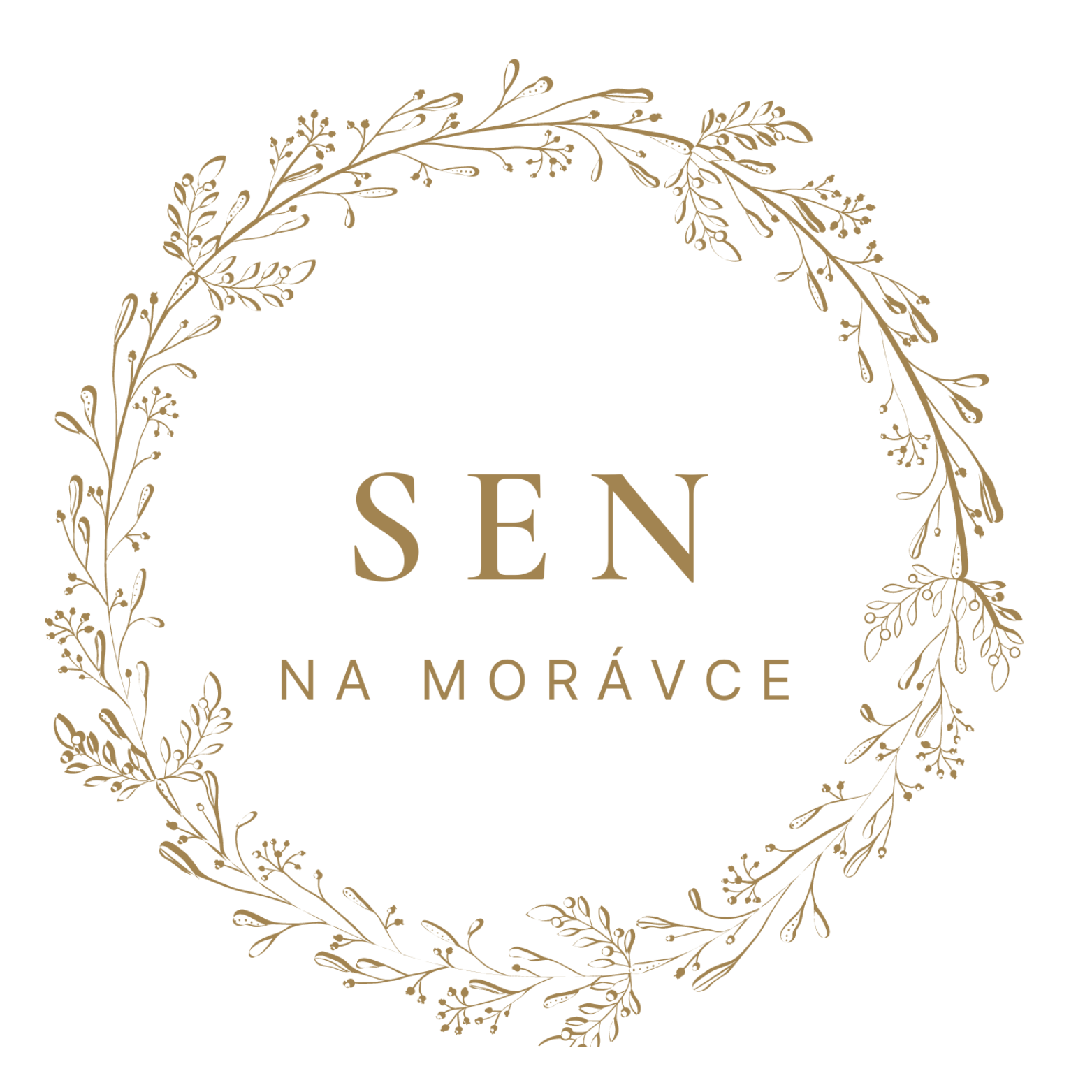 SEN na Morávce foto 4