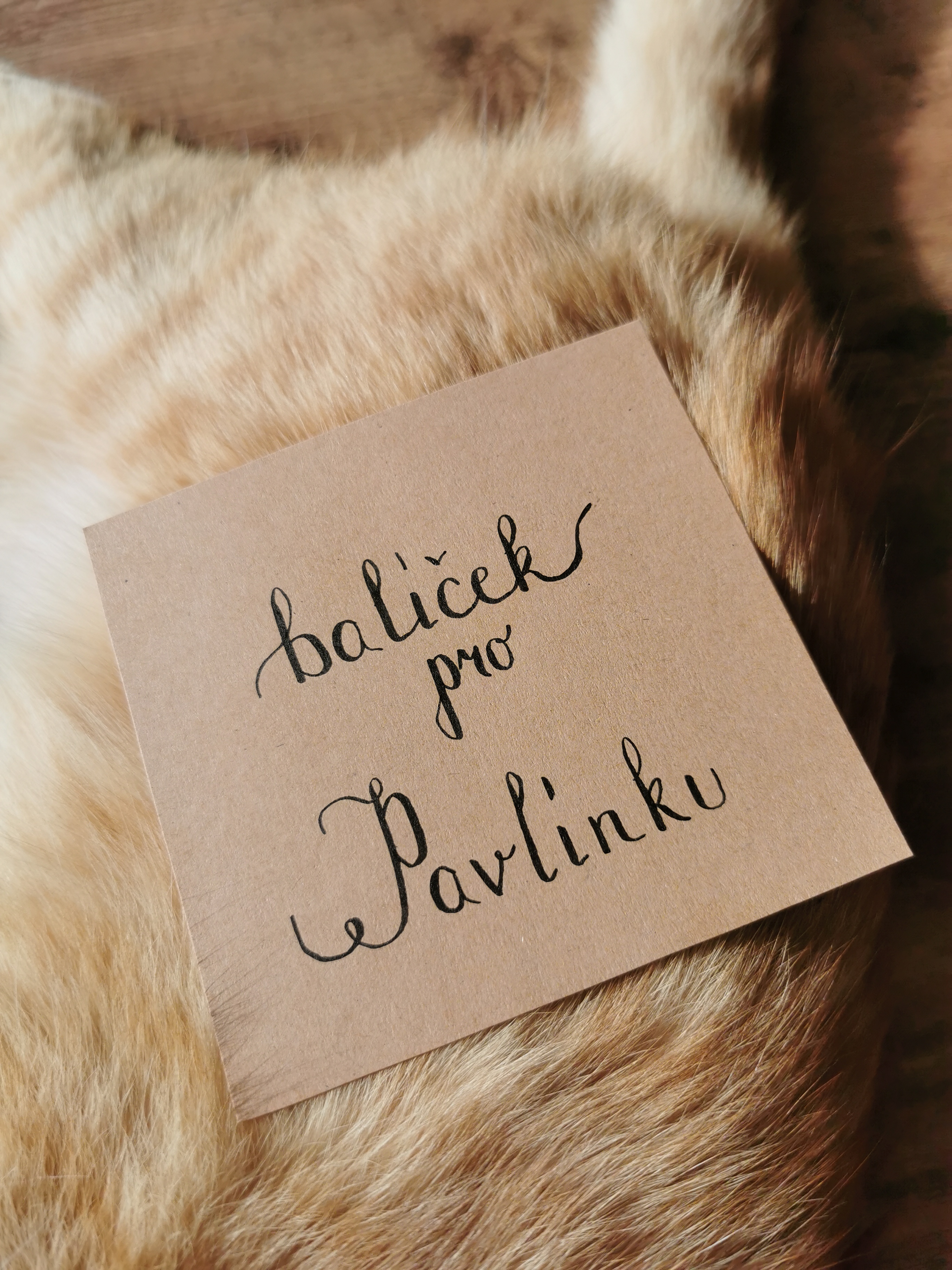 Kaligrafie Markéta Šímová - Simaco Art & Design s.r.o. foto 5