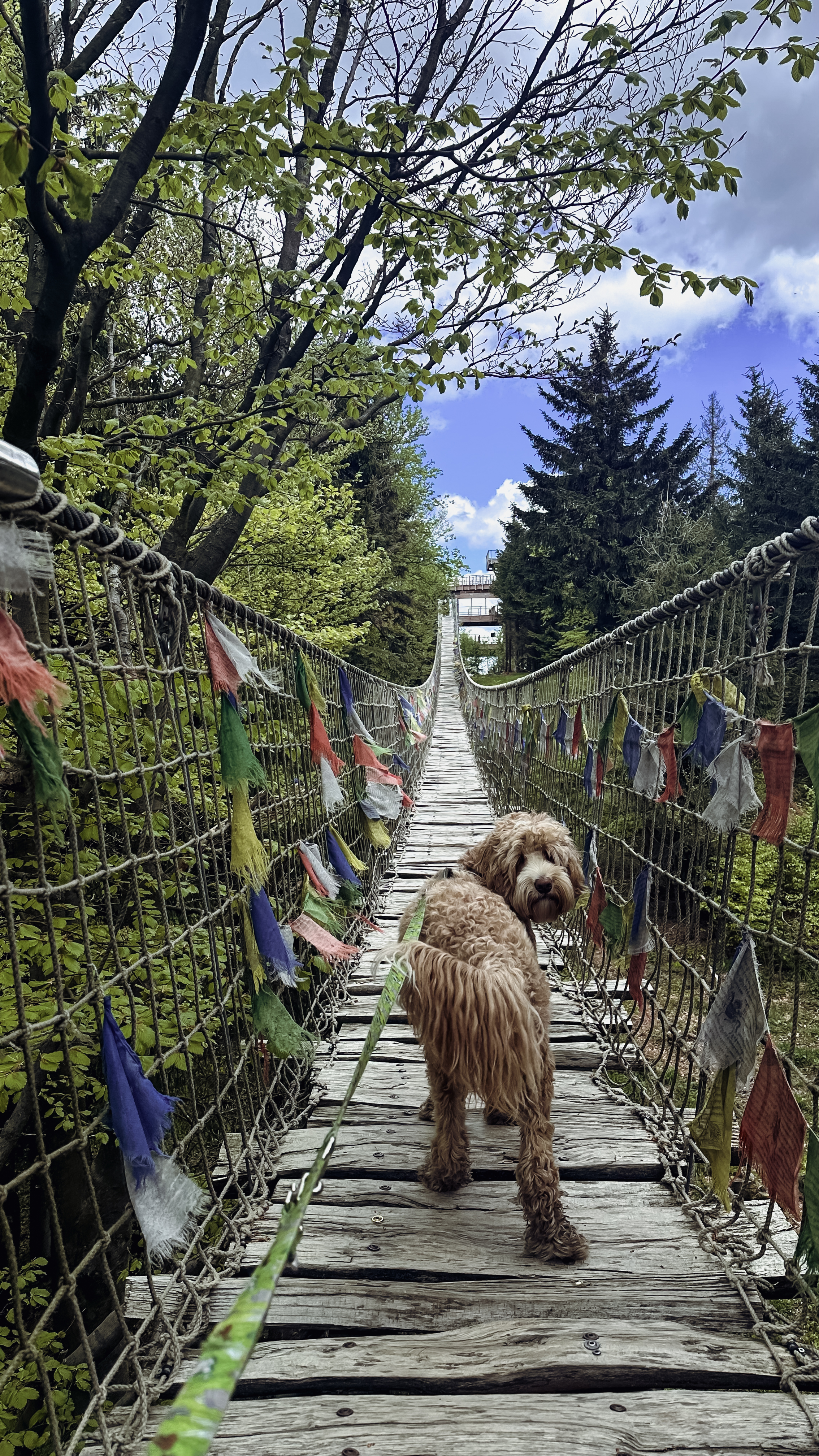 Stezka Valaška foto 5