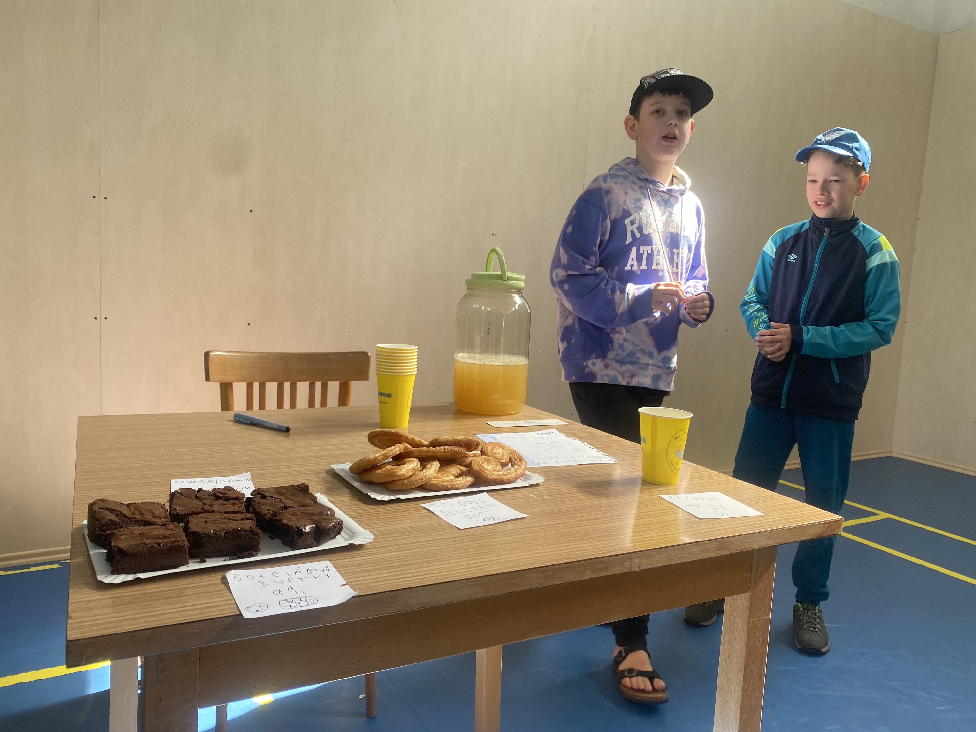 Tělocvičná jednota Sokol Němčice foto 3