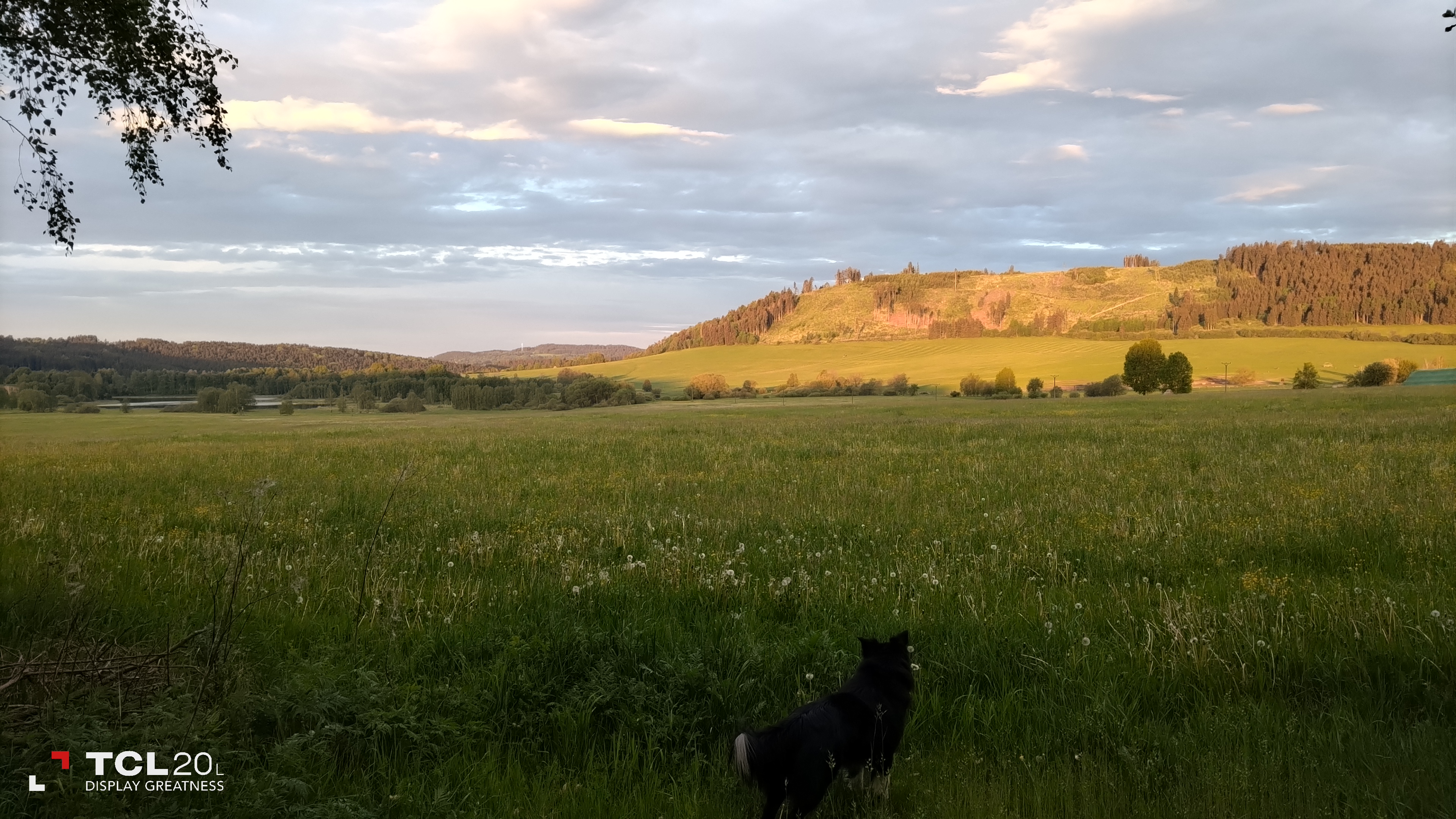 Penzion Pod Třebouňákem foto 5