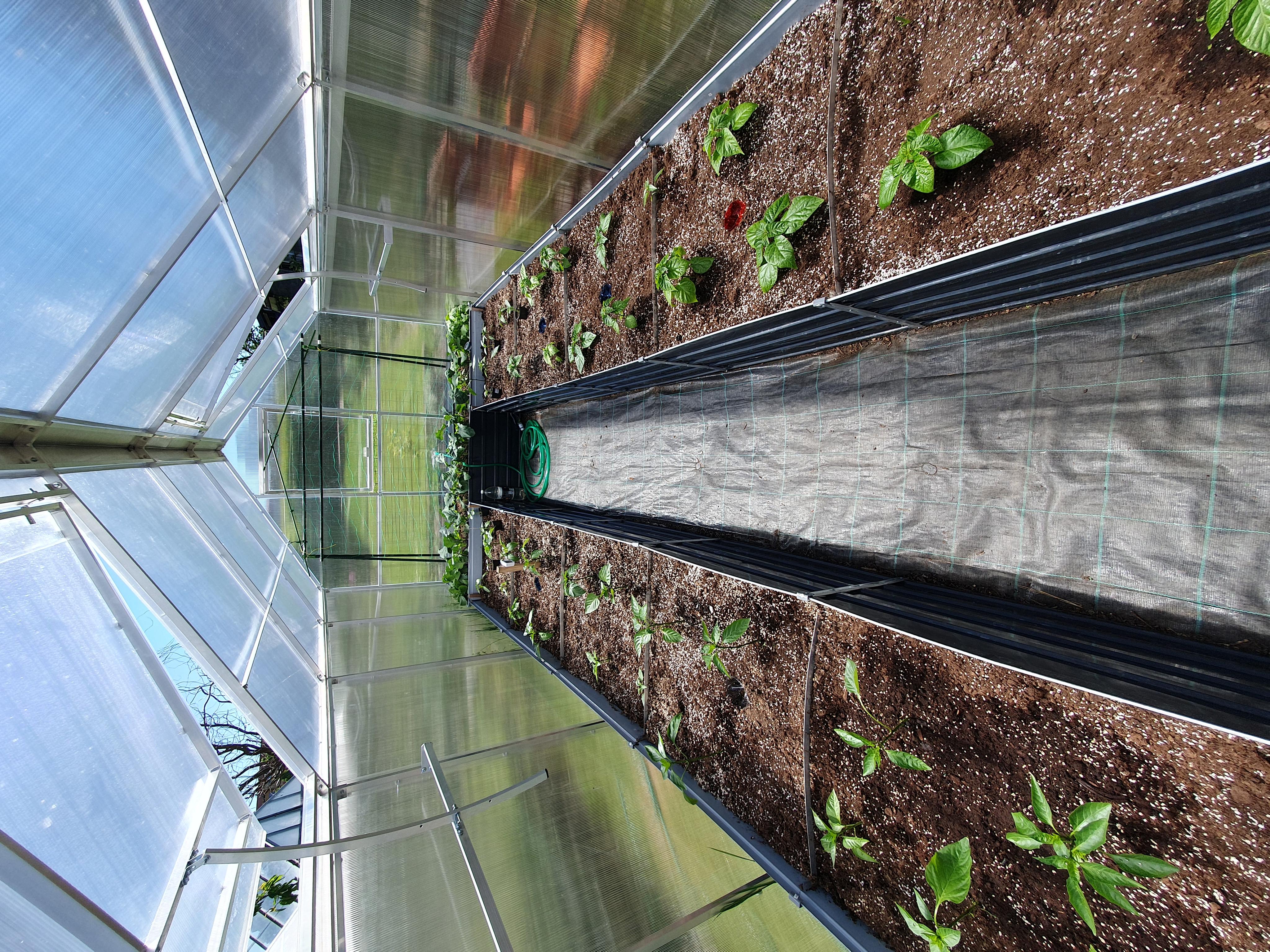 České skleníky Hladík foto 3