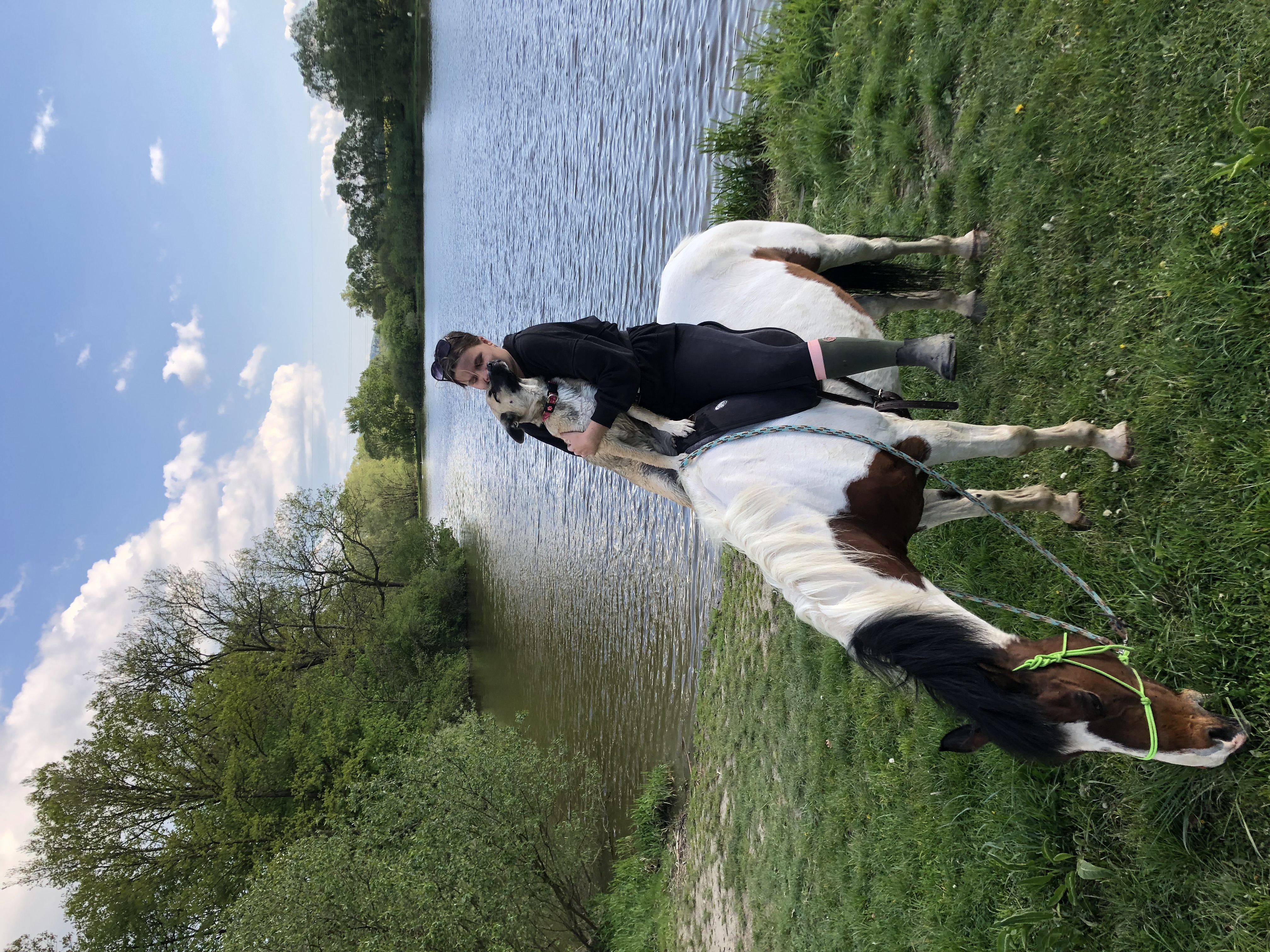 Stáj walenkino epona z.s. foto 2