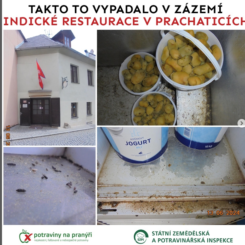 Indická restaurace Tandoor foto 2