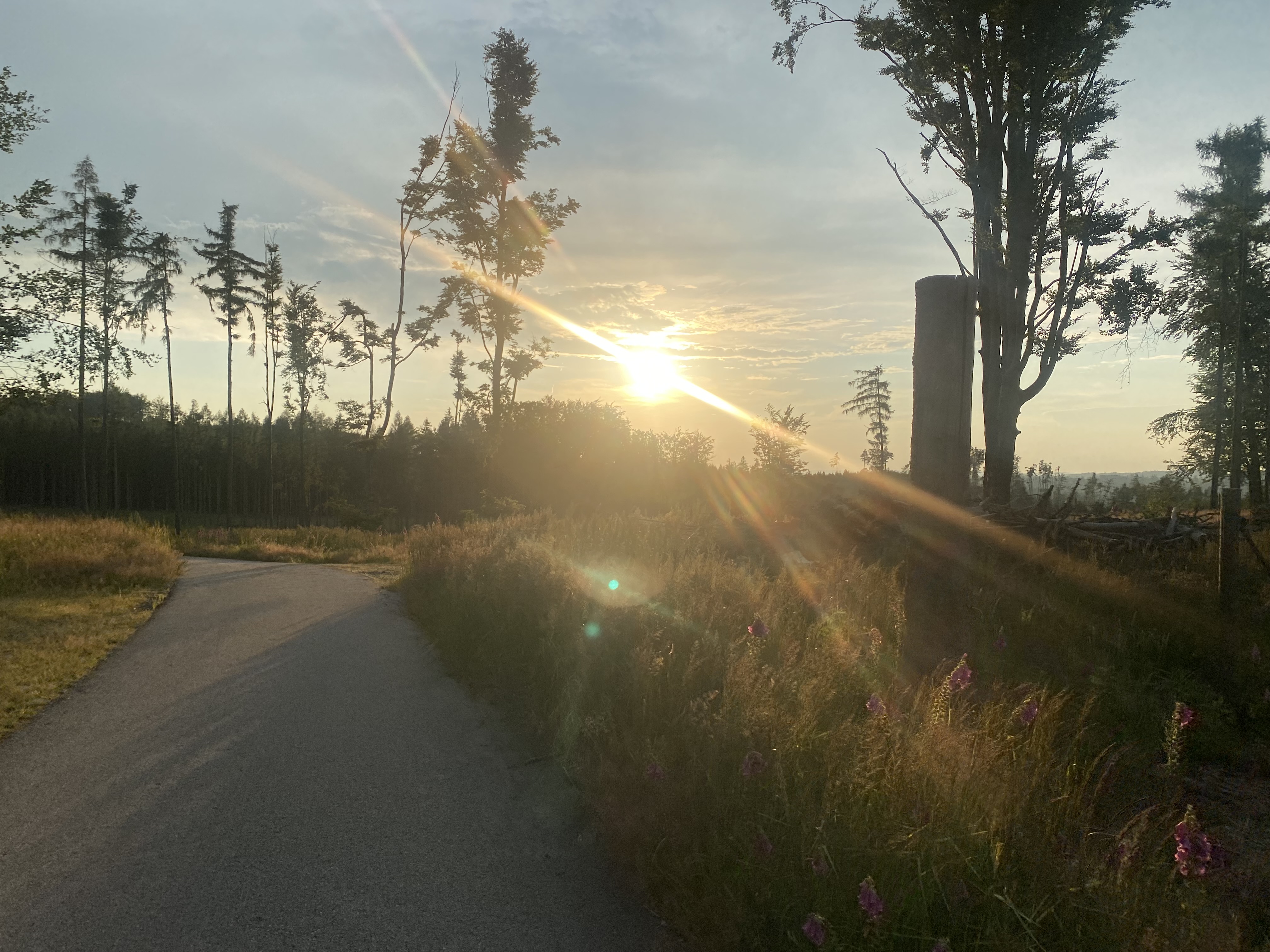 Ubytování Česká Kanada U Dřevaře foto 4