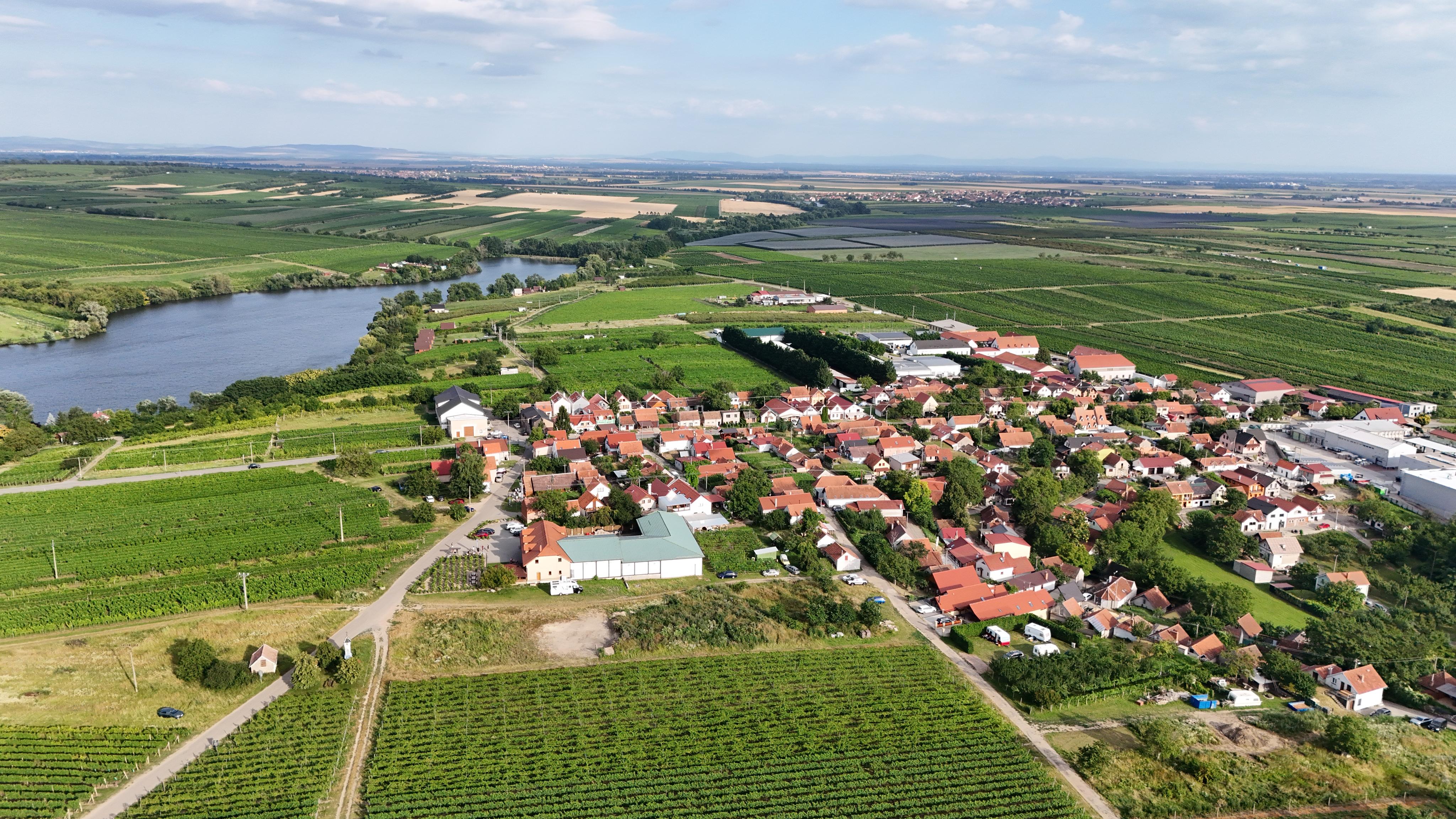 Vinařství Vyhňák foto 3
