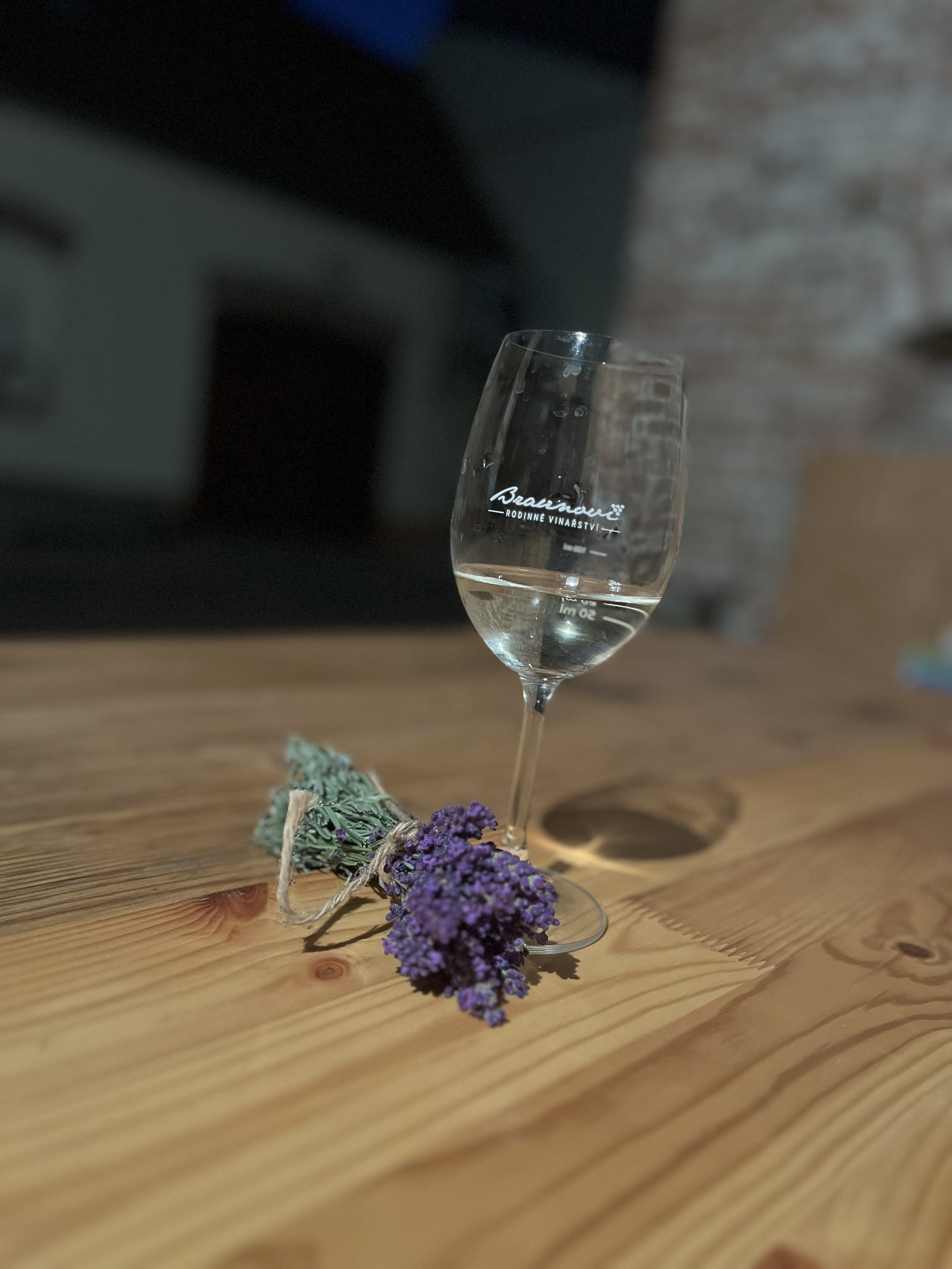 Vinný sklípek u Braunů foto 5