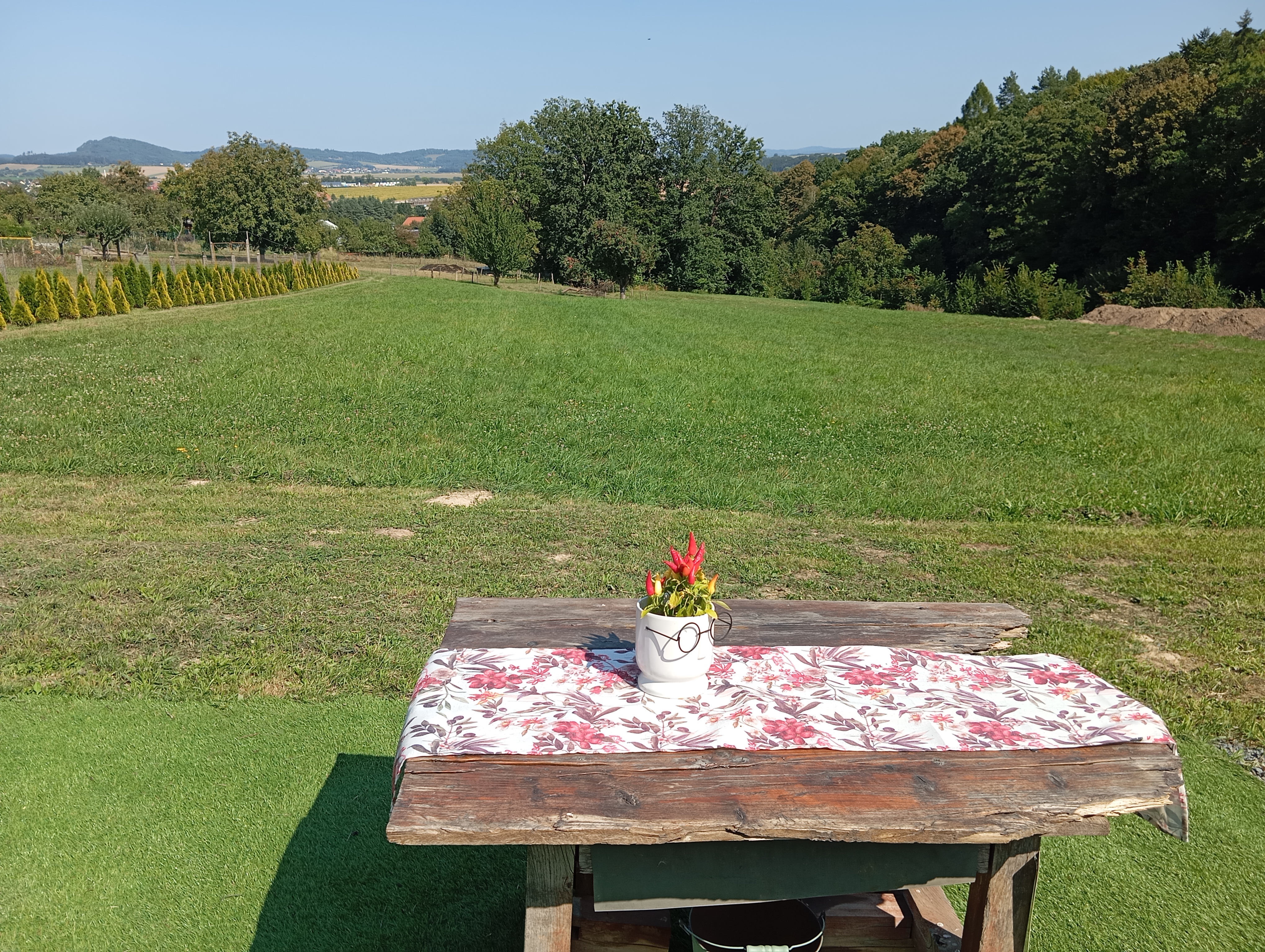 Glamping 4 Acres foto 6