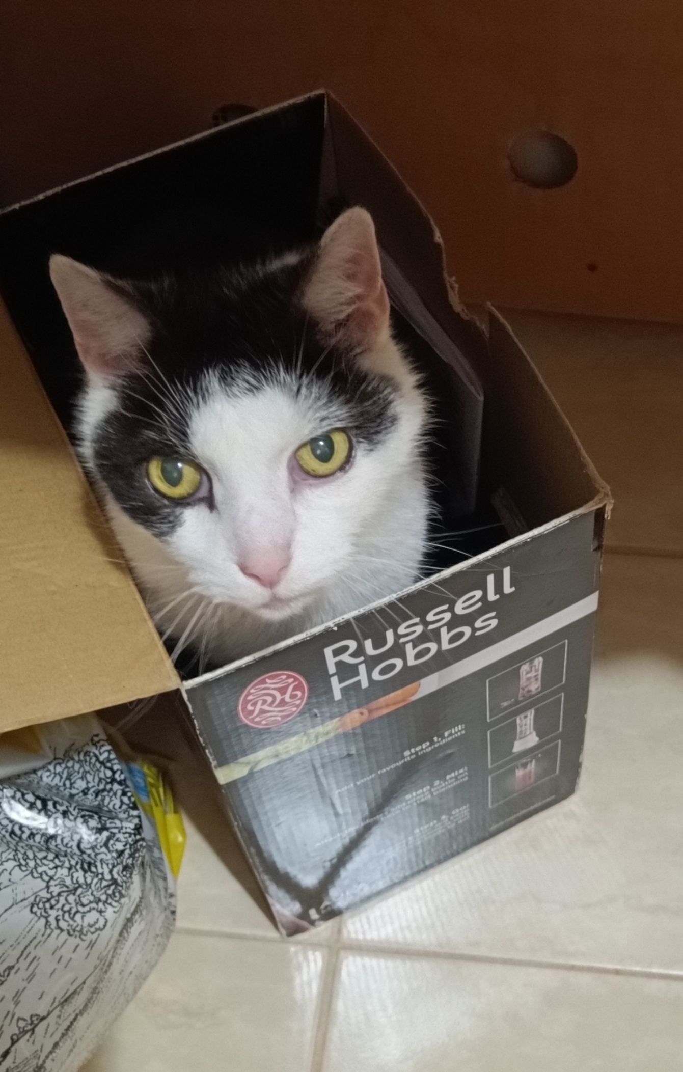 Veterinární ordinace MVDr. František Břeň foto 4