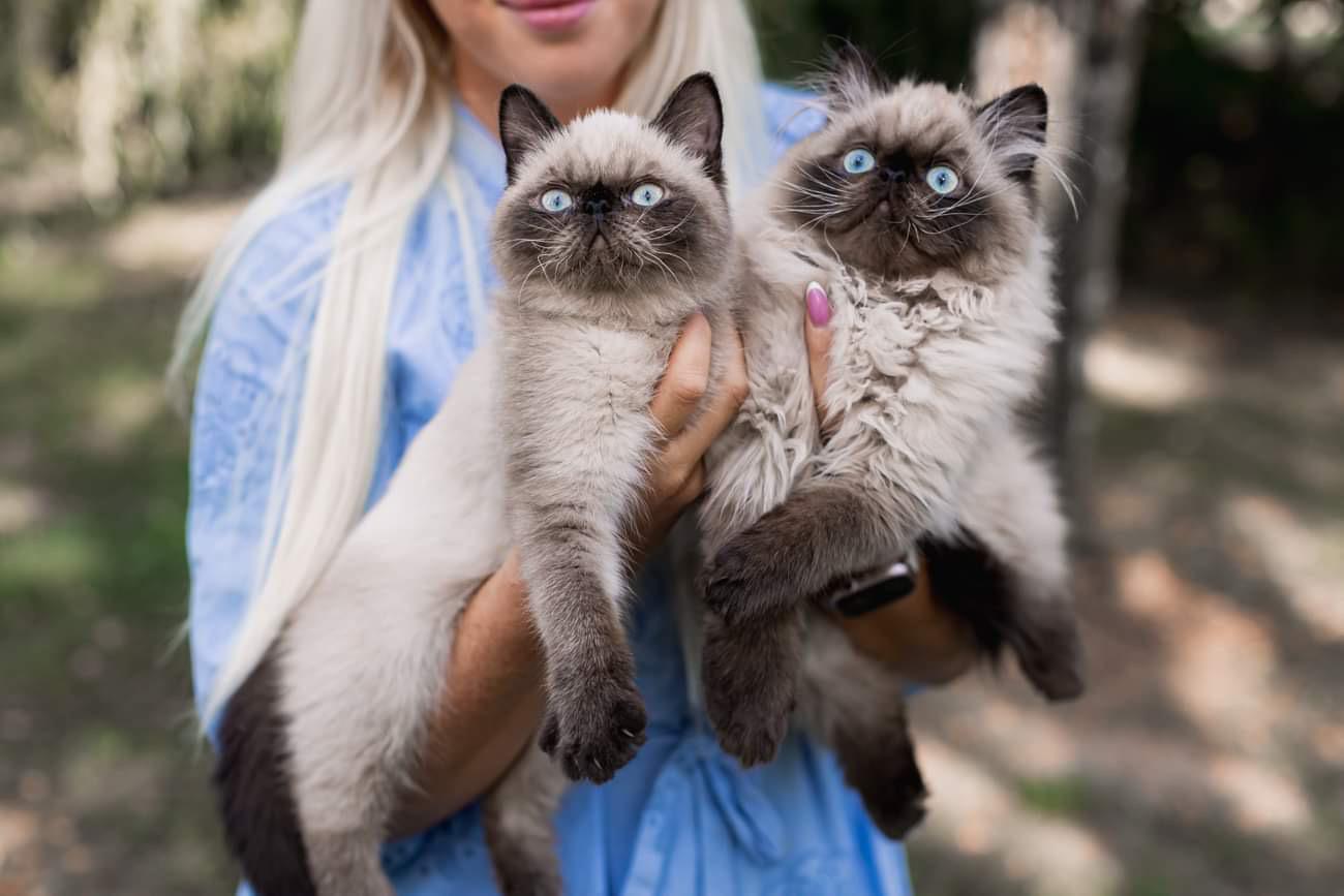 Veterinární klinika - MVDr. Pavlína Pánková Váňová foto 2