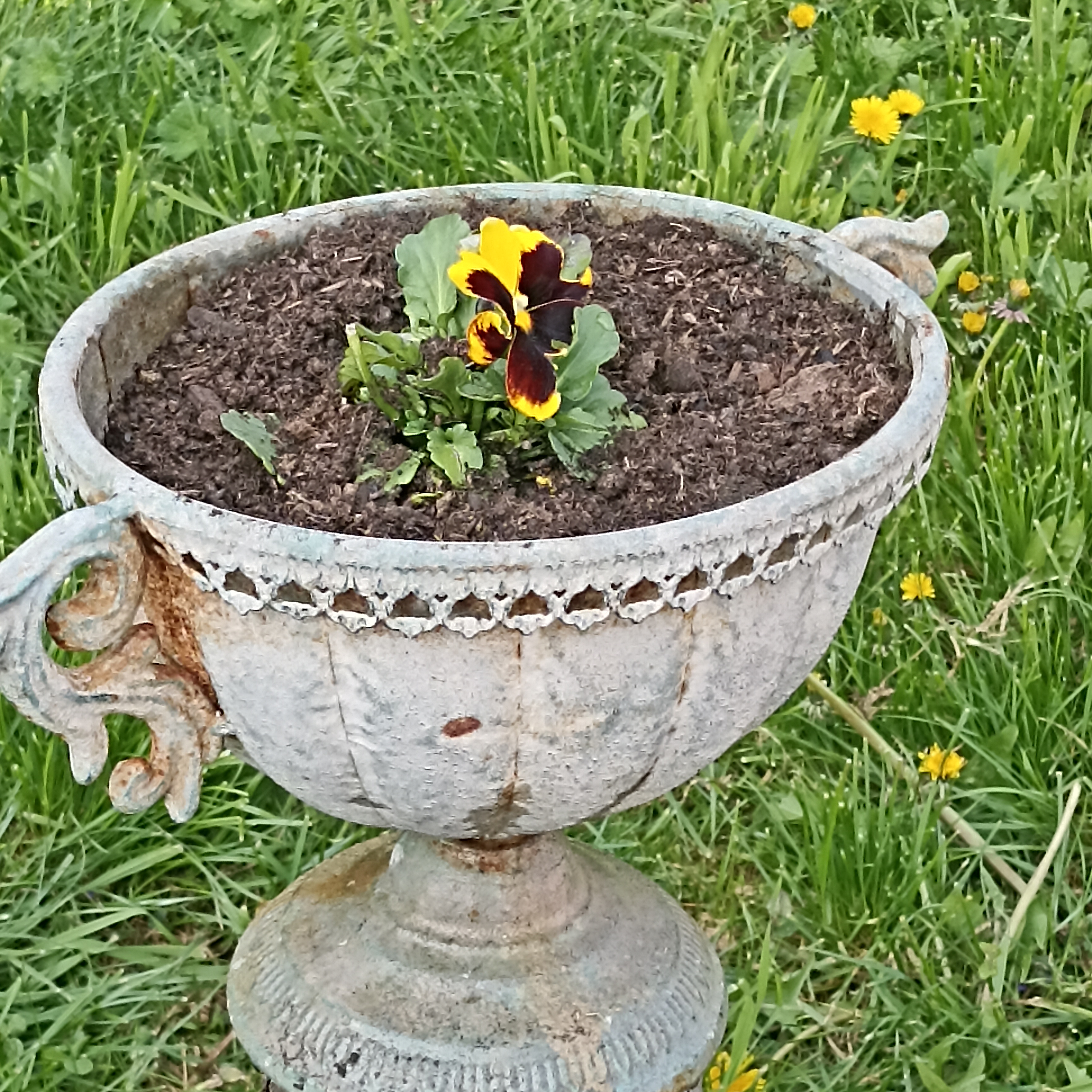 Zahradnictví u Níčů foto 5