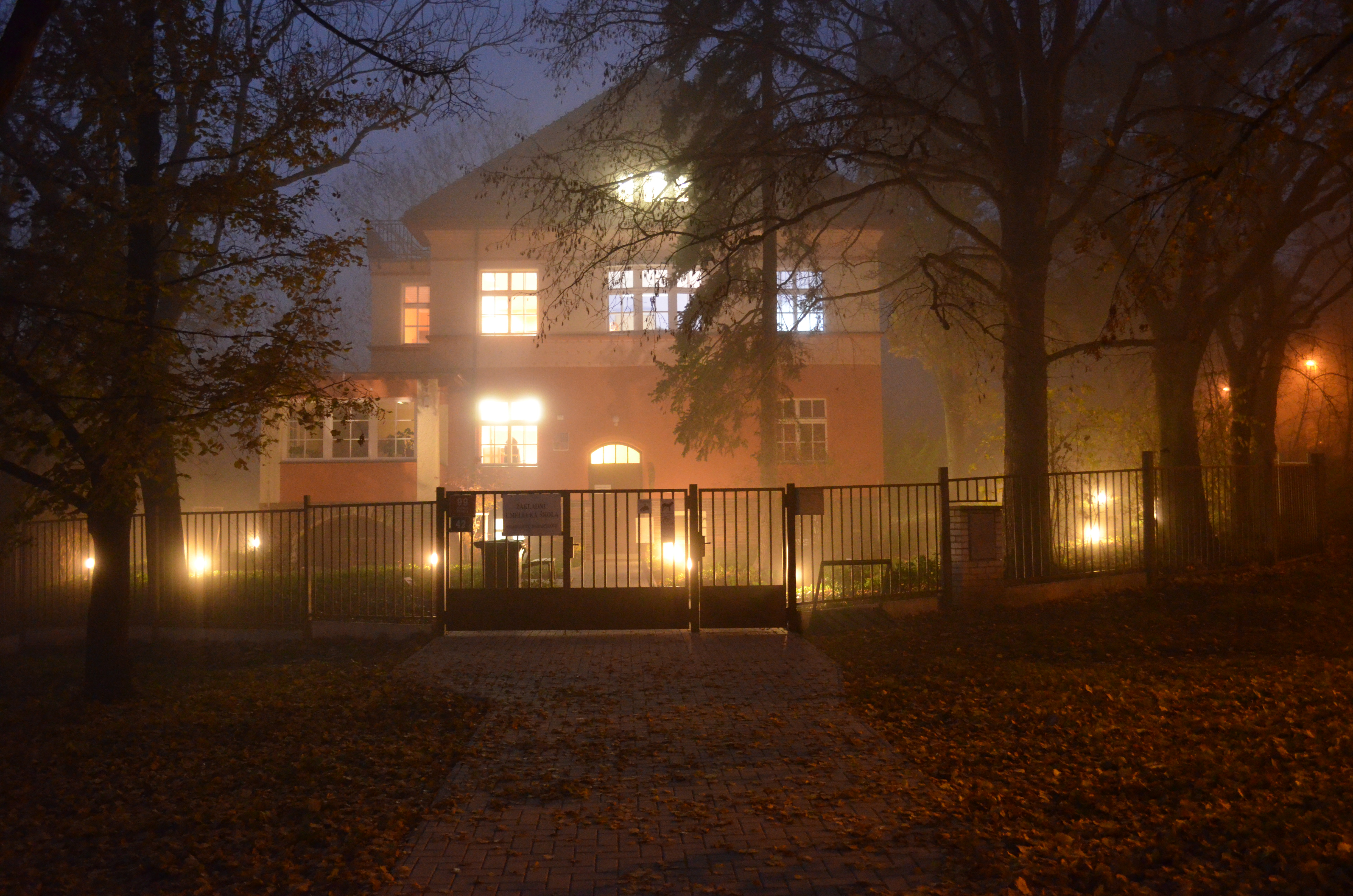 ZUŠ Charlotty Masarykové foto 3