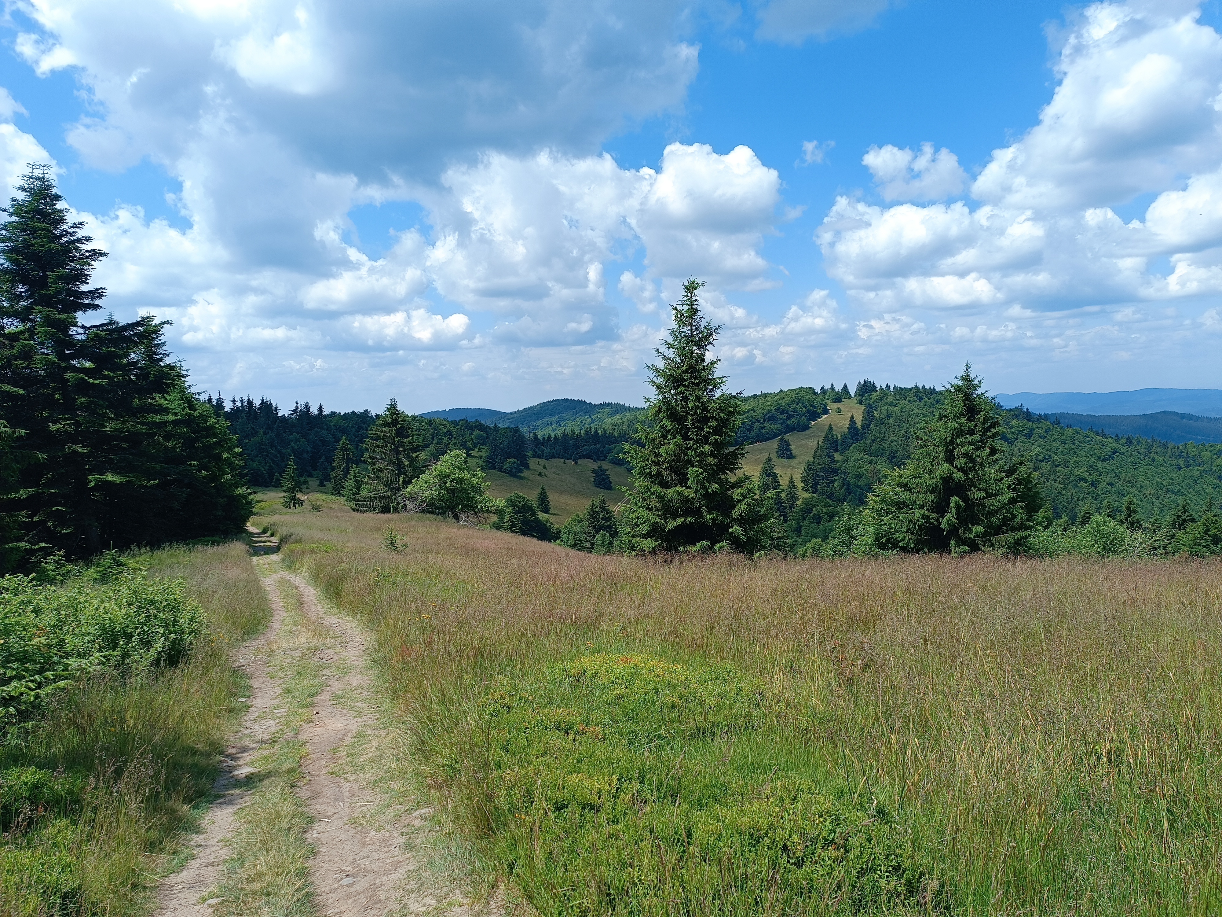 Apartmán Polanský Dvůr - A5 foto 4