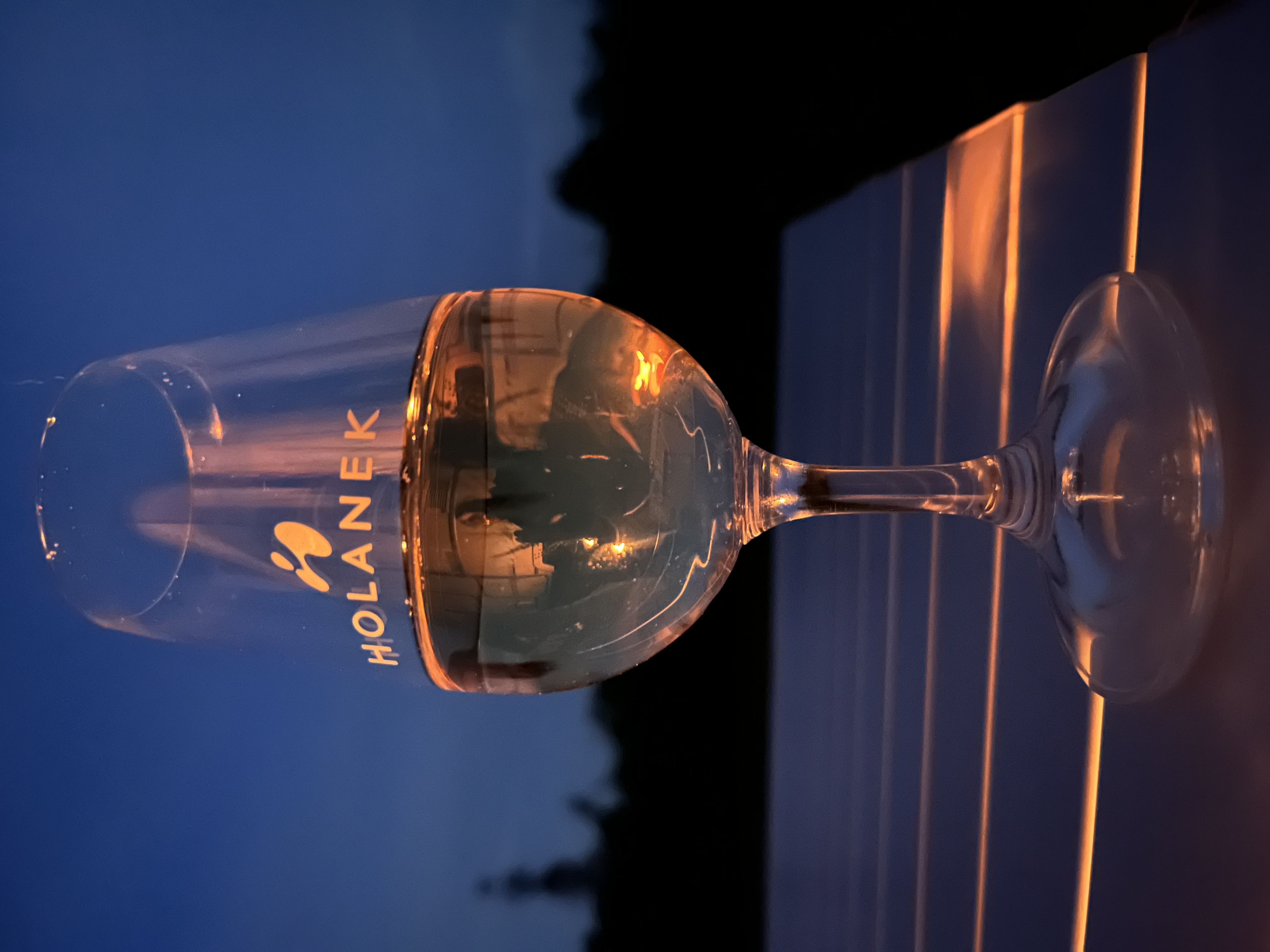 Stellplatz Valtice foto 3