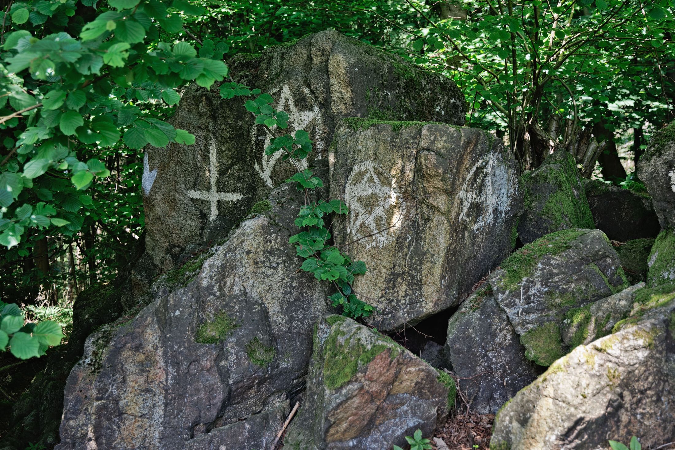 Fotografie - Ďáblovy kameny, Stožice - 14.06.2023 • Mapy.cz