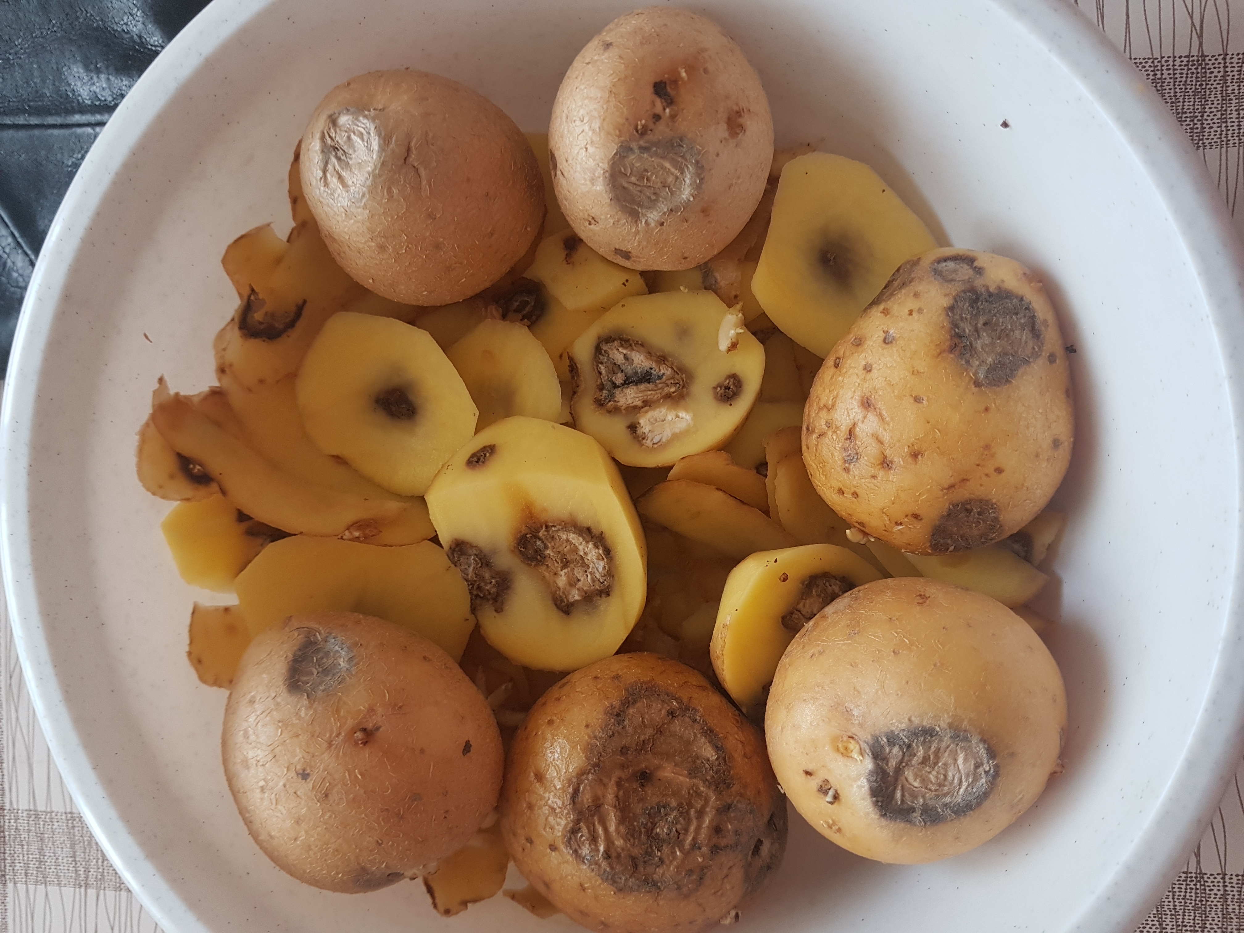 Odbytové družstvo Polabí foto 5