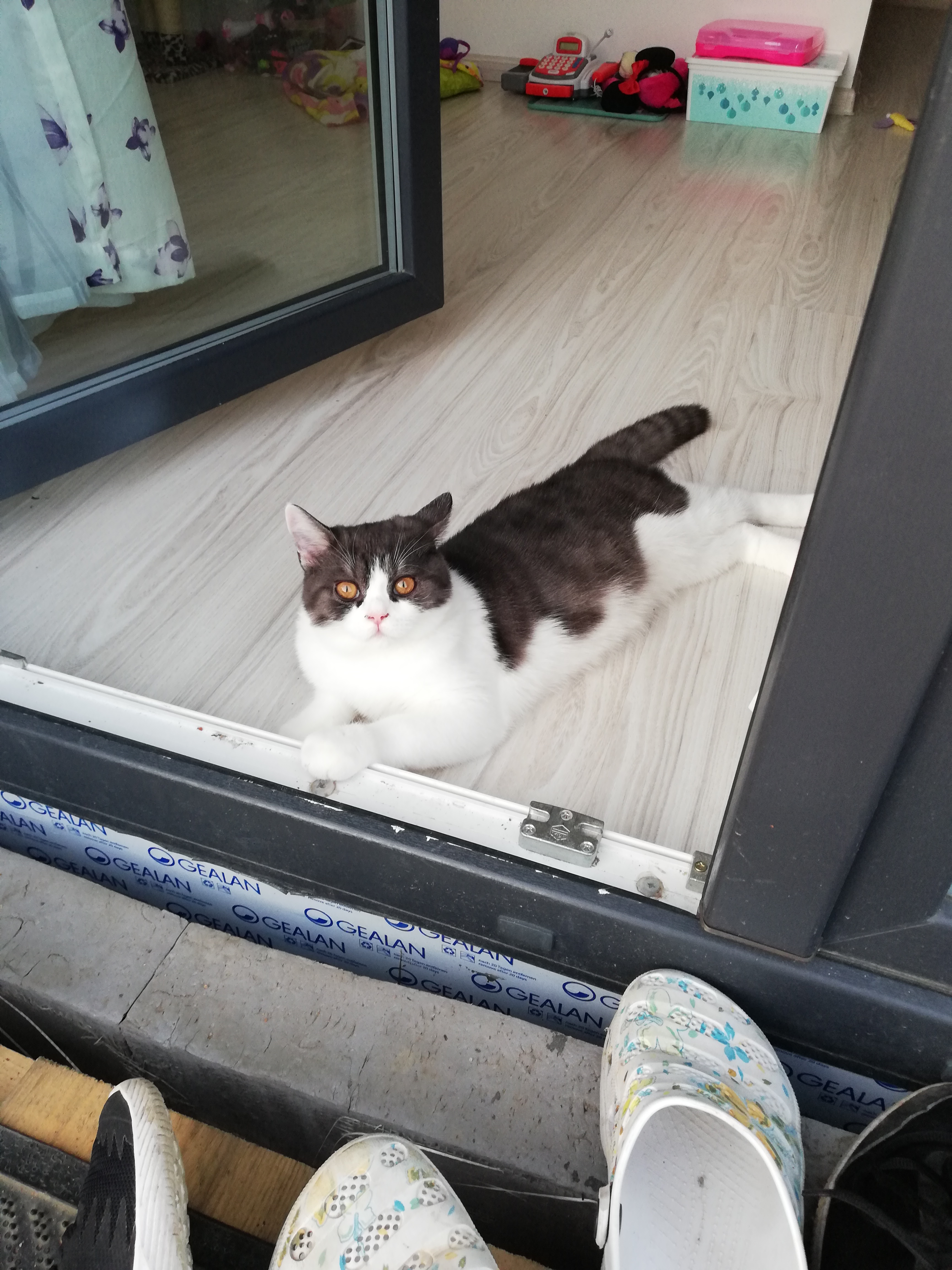 MVDr. Vladimír Pišl foto 2