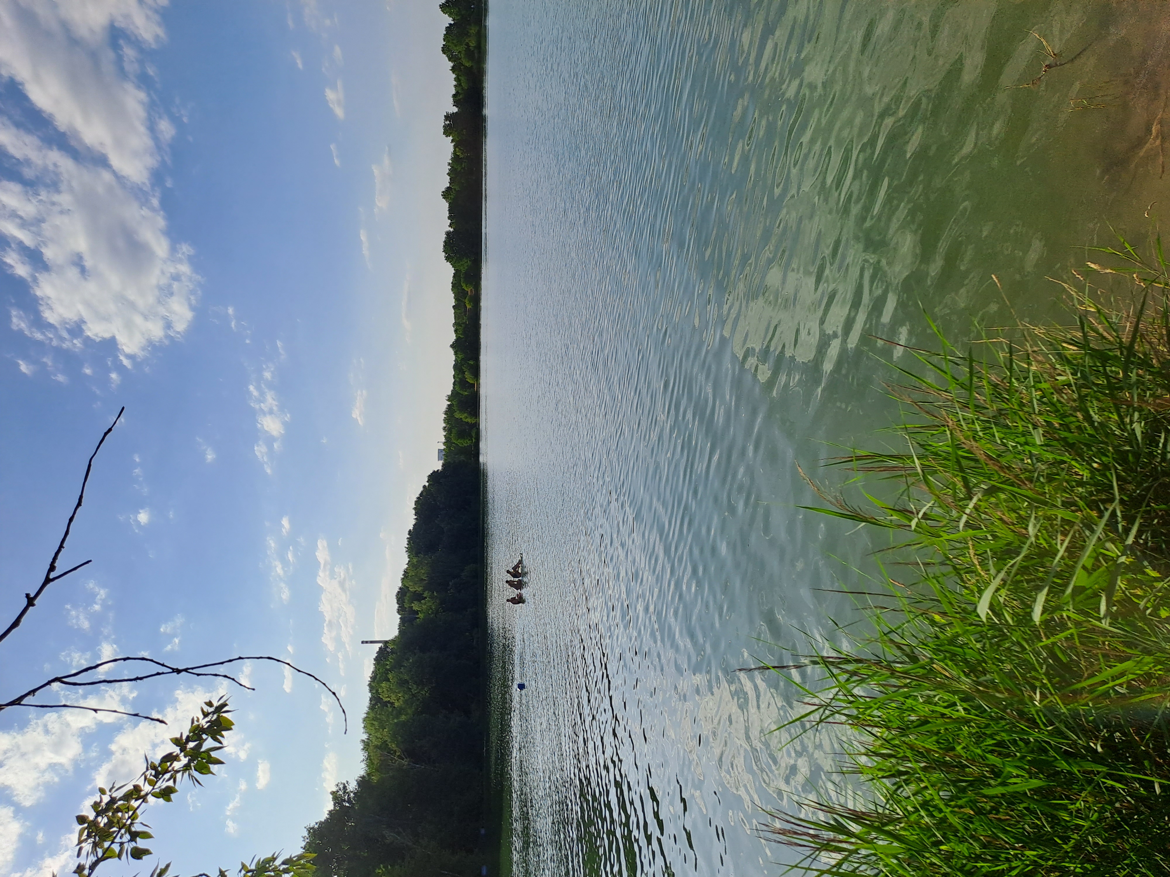 Pískovna Tišice foto 1