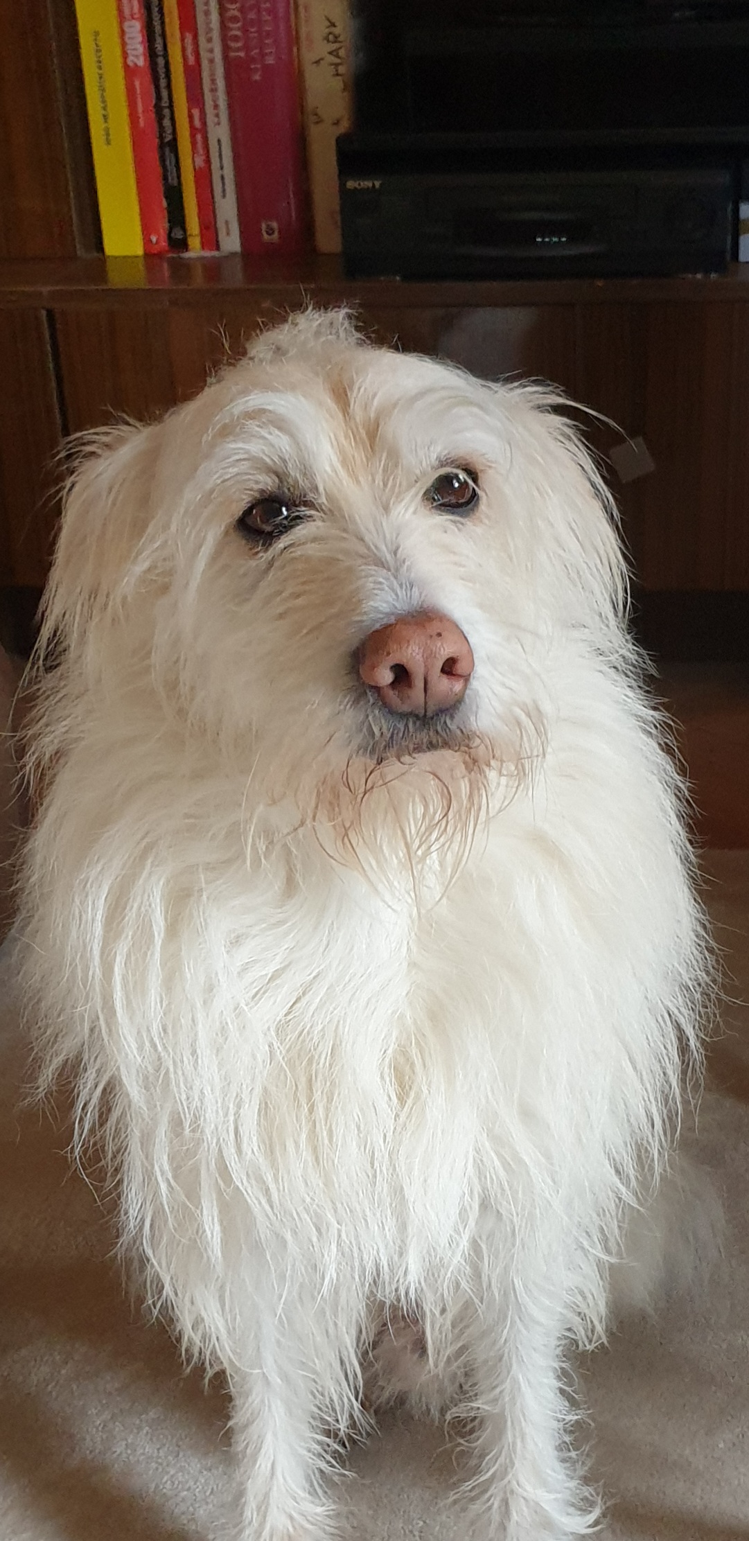 Klinika Anima foto 3