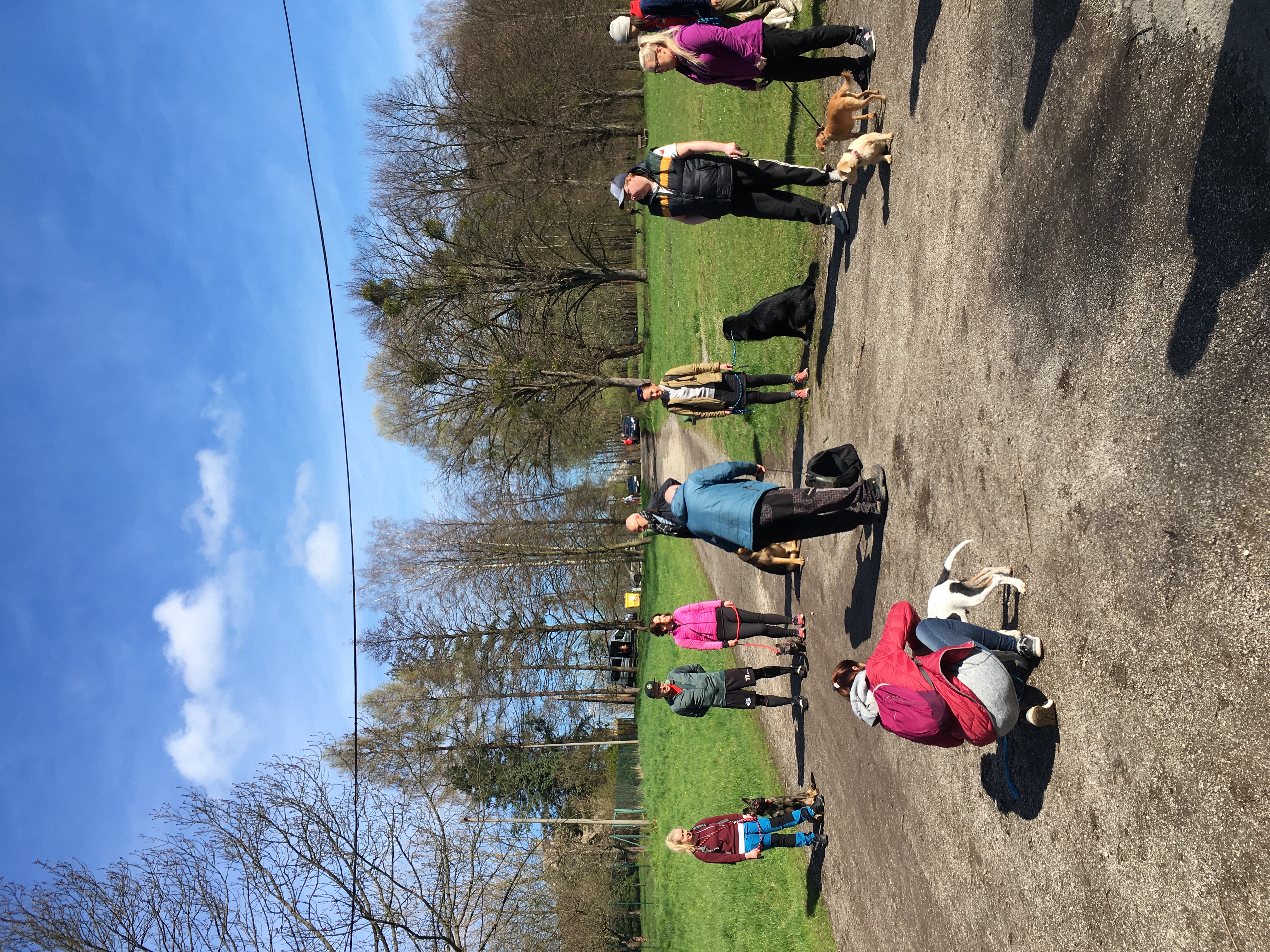 Filip Bačík - Psí pomoc foto 4