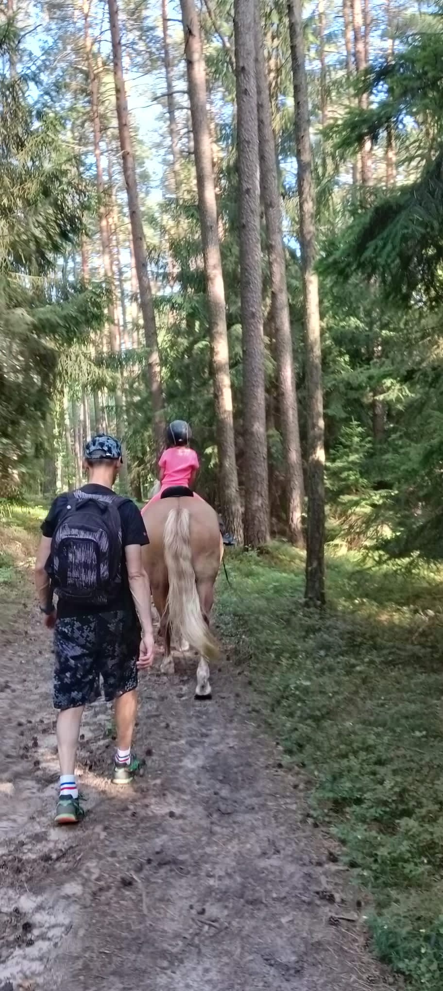 Stáj Olešnice foto 5