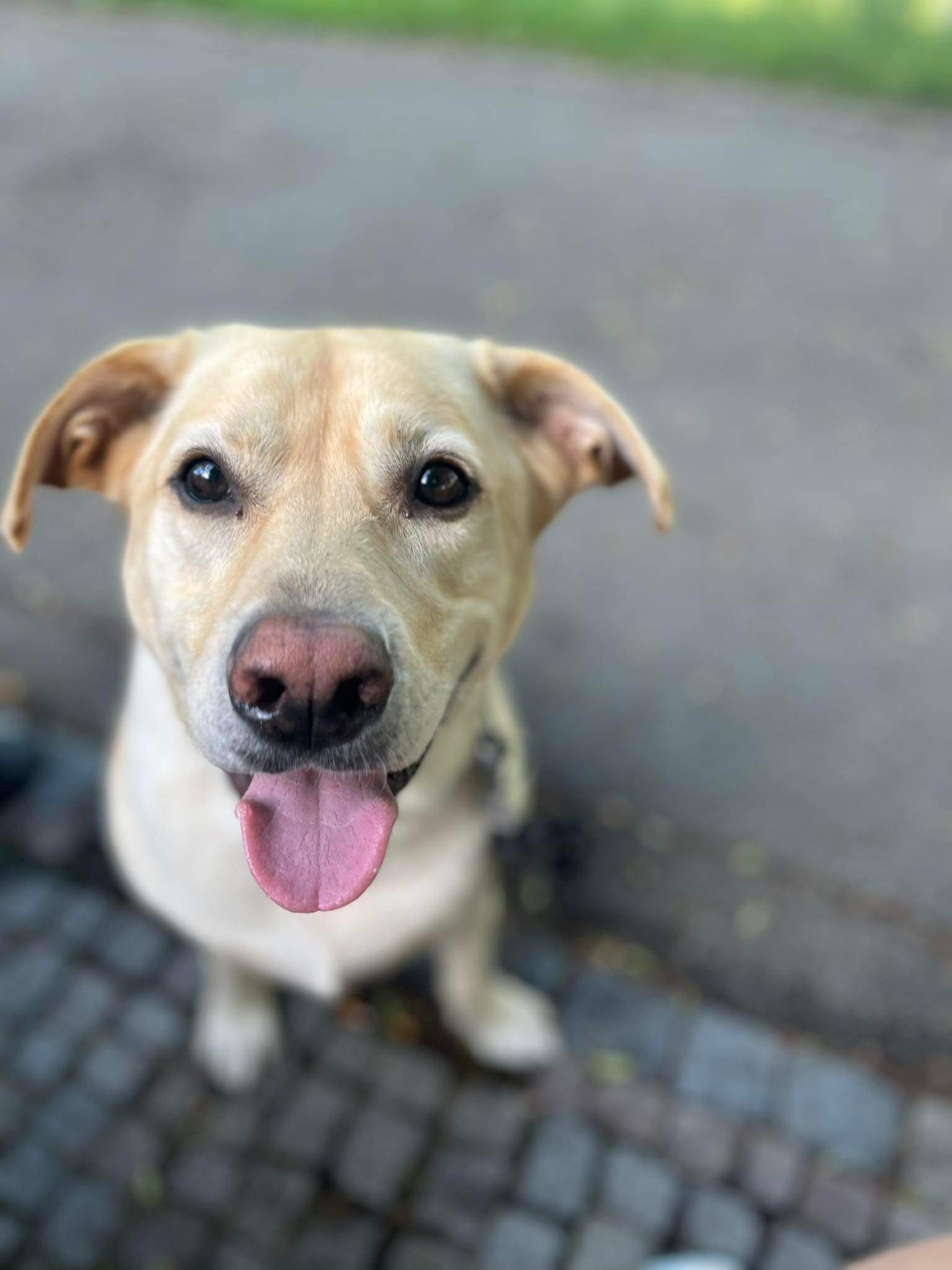 Veterinární klinika HANZA foto 2