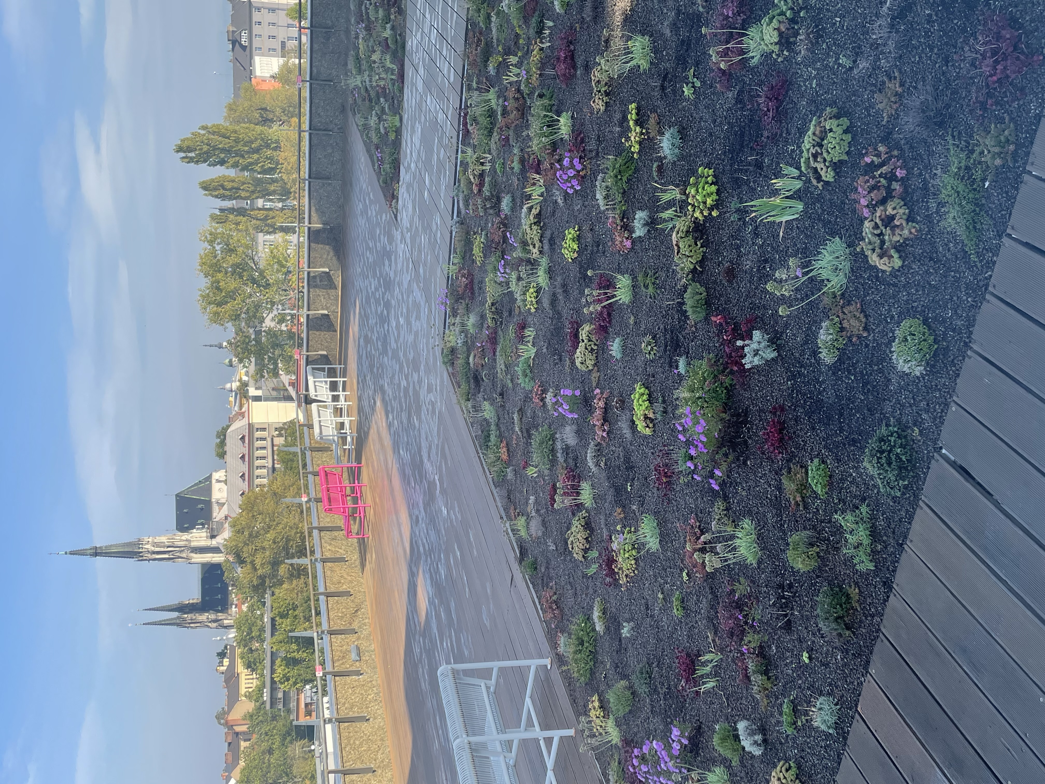Univerzita Palackého v Olomouci - Katedra rozvojových a environmentálních studií Přírodovědecké fakulty foto 3