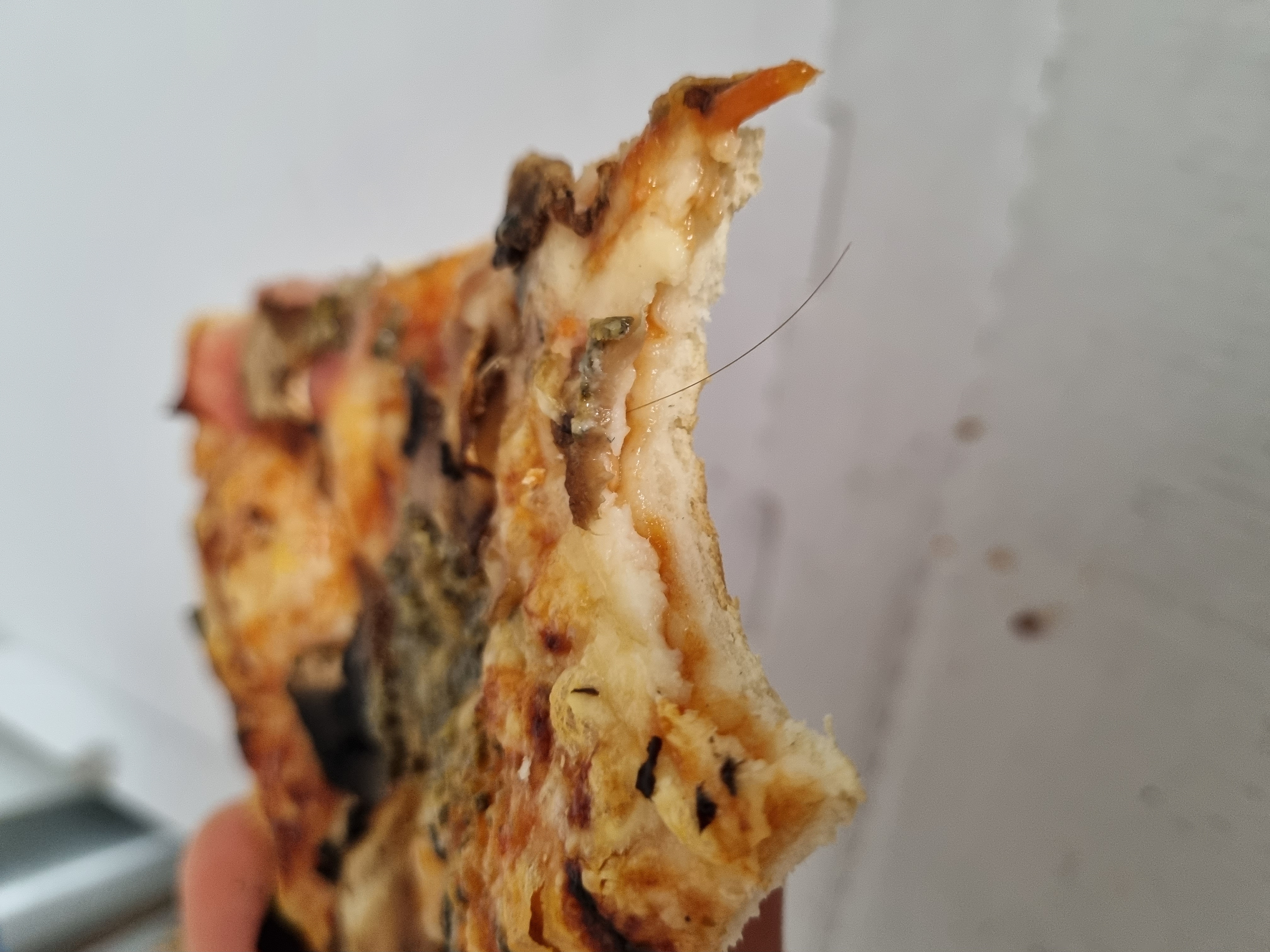 Pepinova pizza foto 1