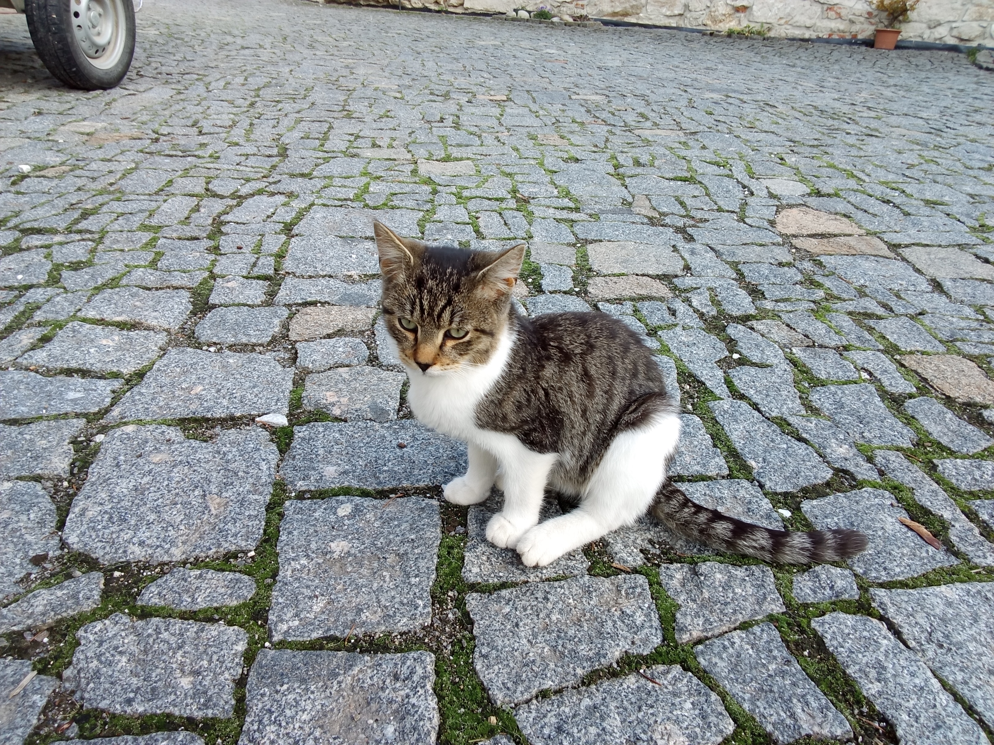 Letiště Rabí foto 3