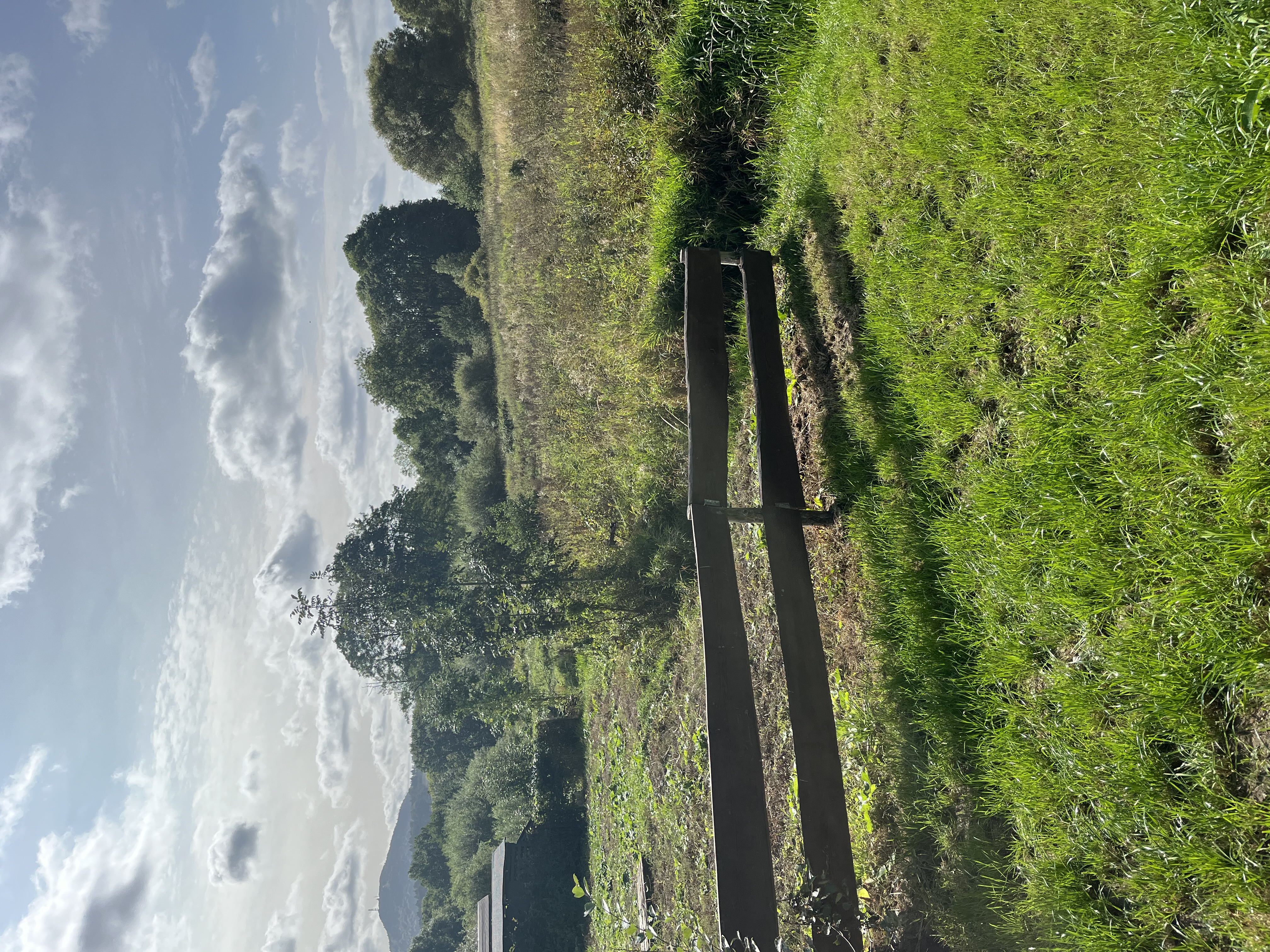 Bohemian Homes - Buddha foto 2