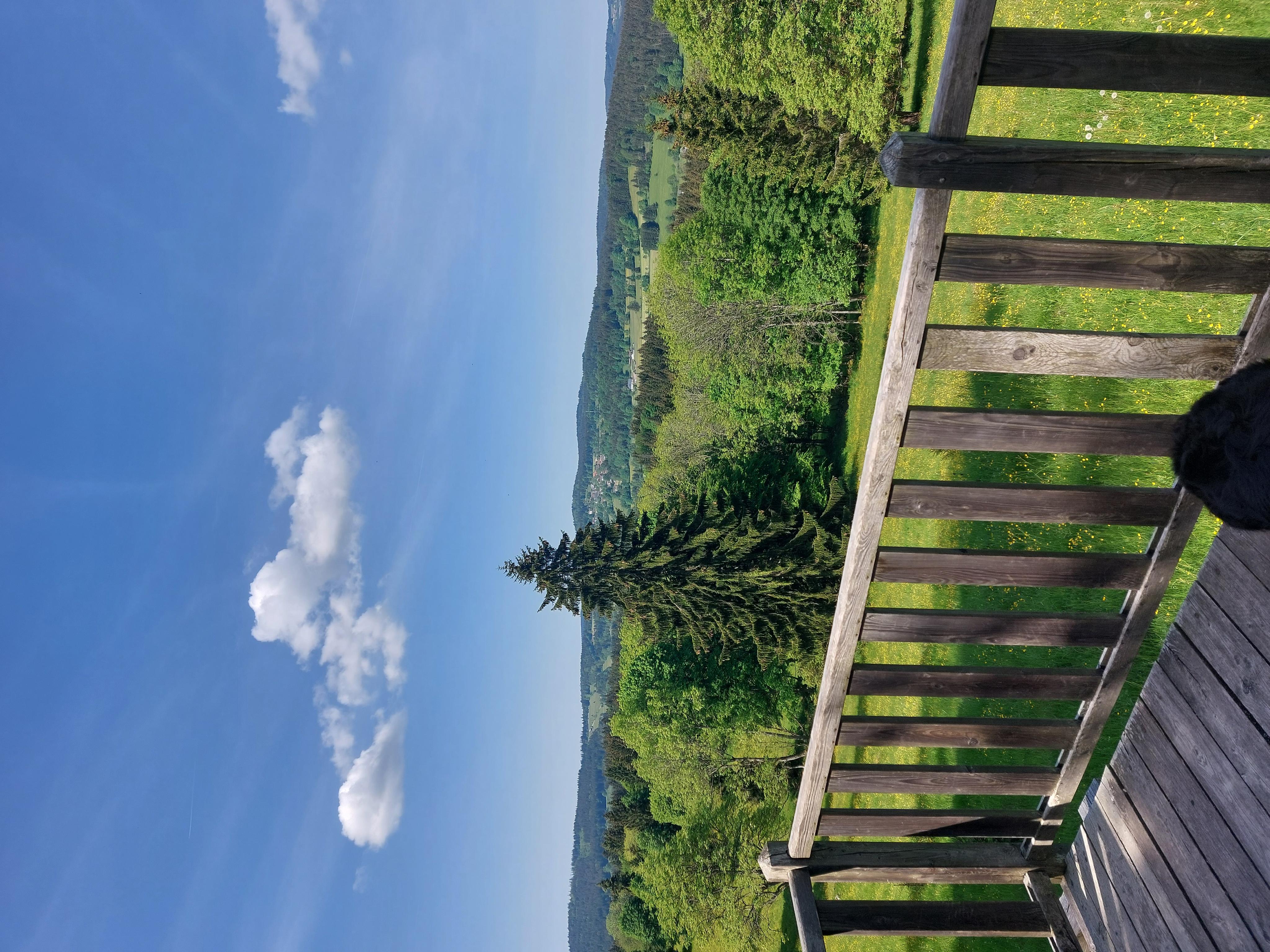 Penzion Farma foto 6