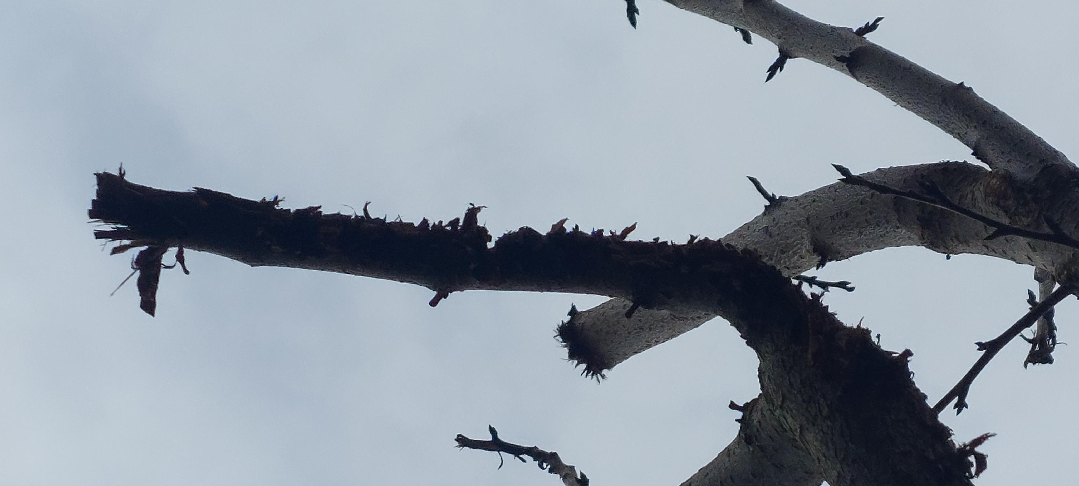 zahradybezvady.cz foto 2