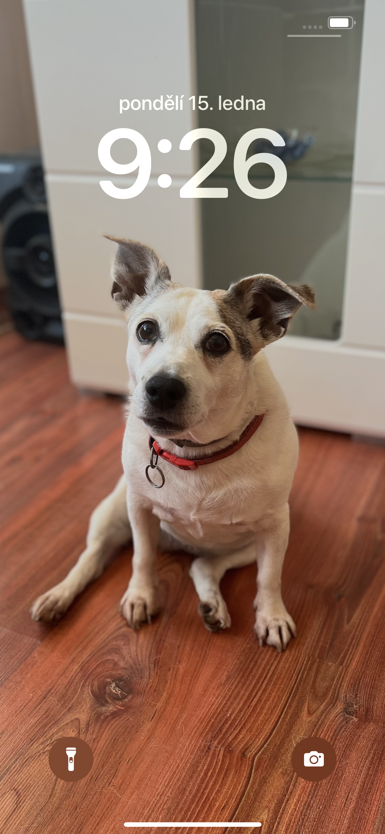 U Tří voříšků - MVDr. Dagmar Caltová foto 3