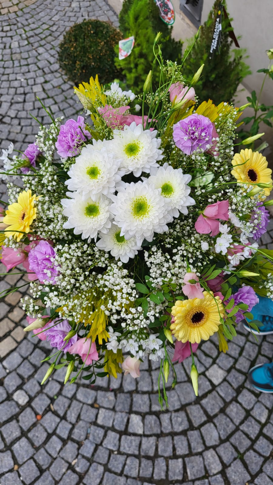 Květinka Vitamínka foto 3