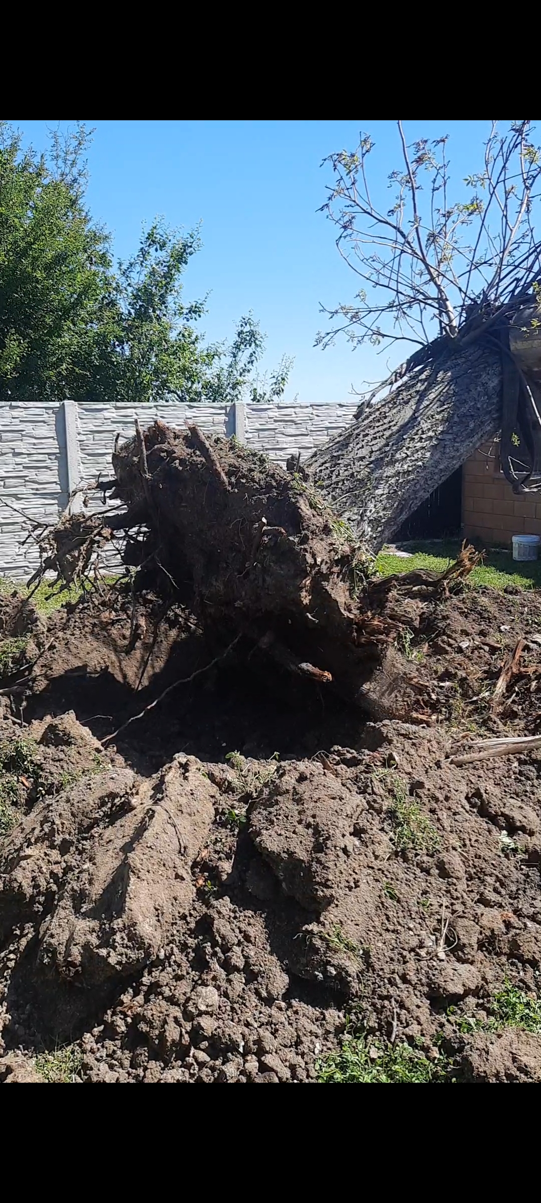 Zemní práce Josef Kopejska foto 4