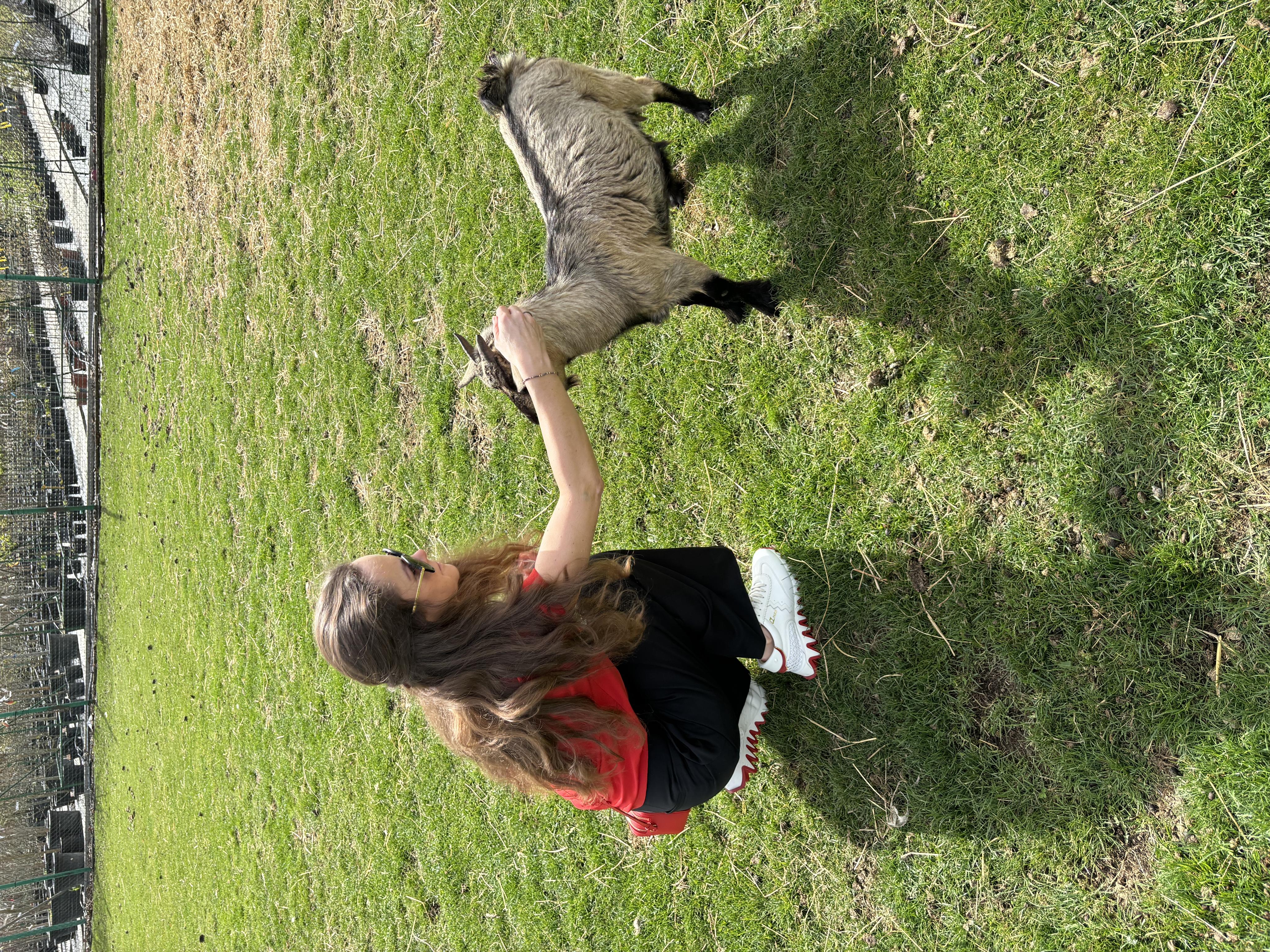 Zahradnictví Rypáček s.r.o. foto 2