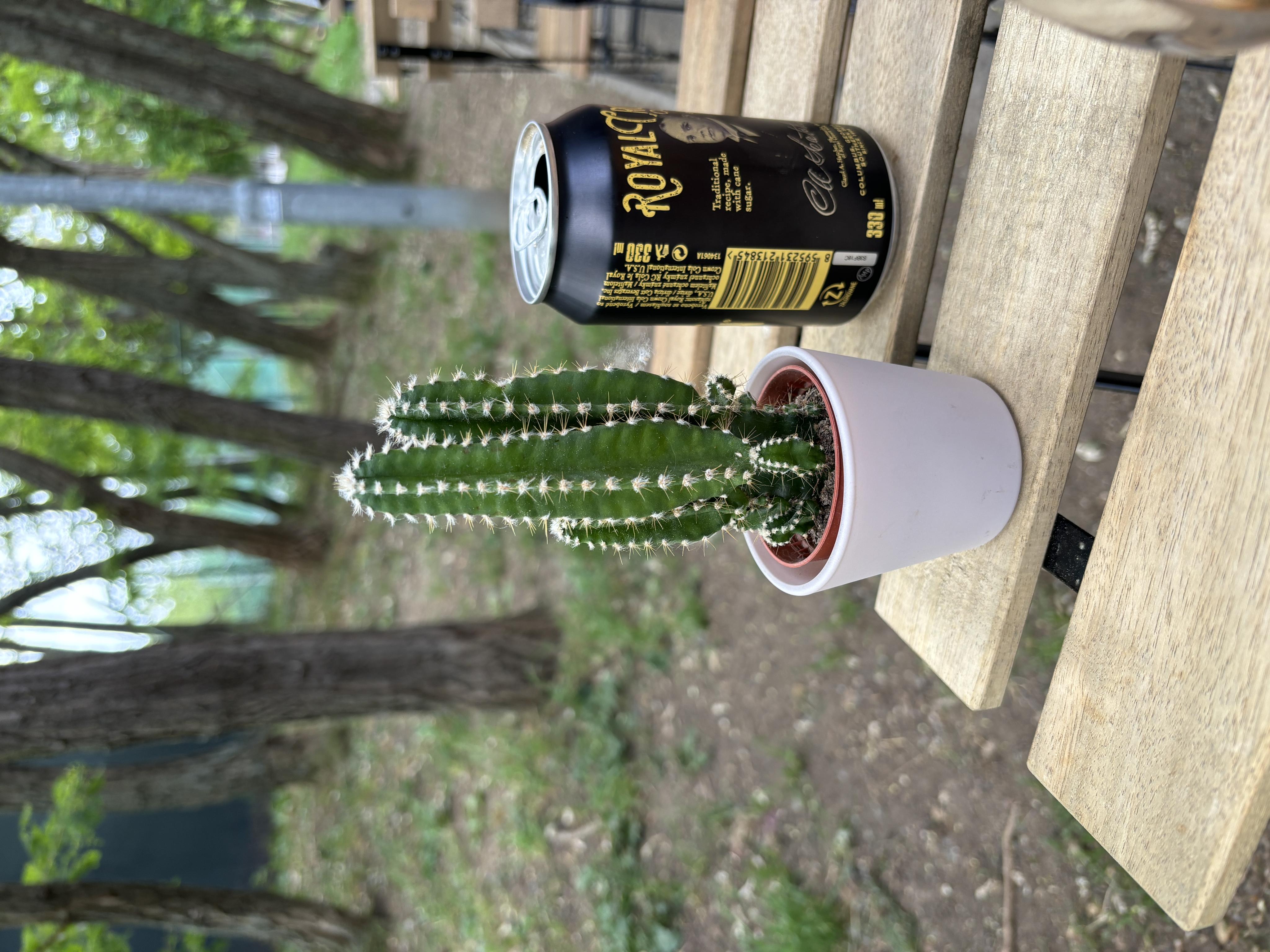 Kiosek U Starého chřestýše foto 2