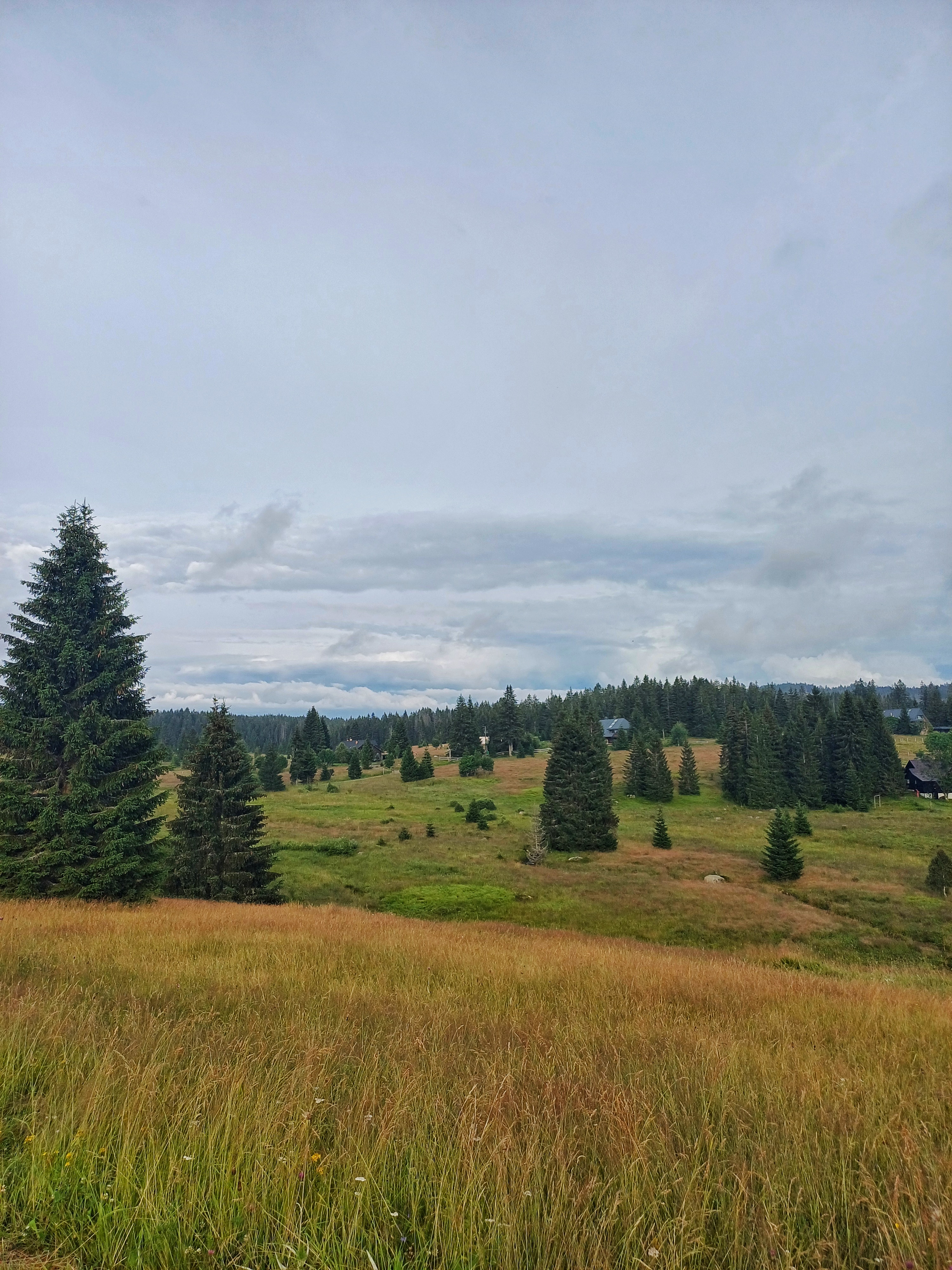 EA Apartmány Na Filipce foto 4