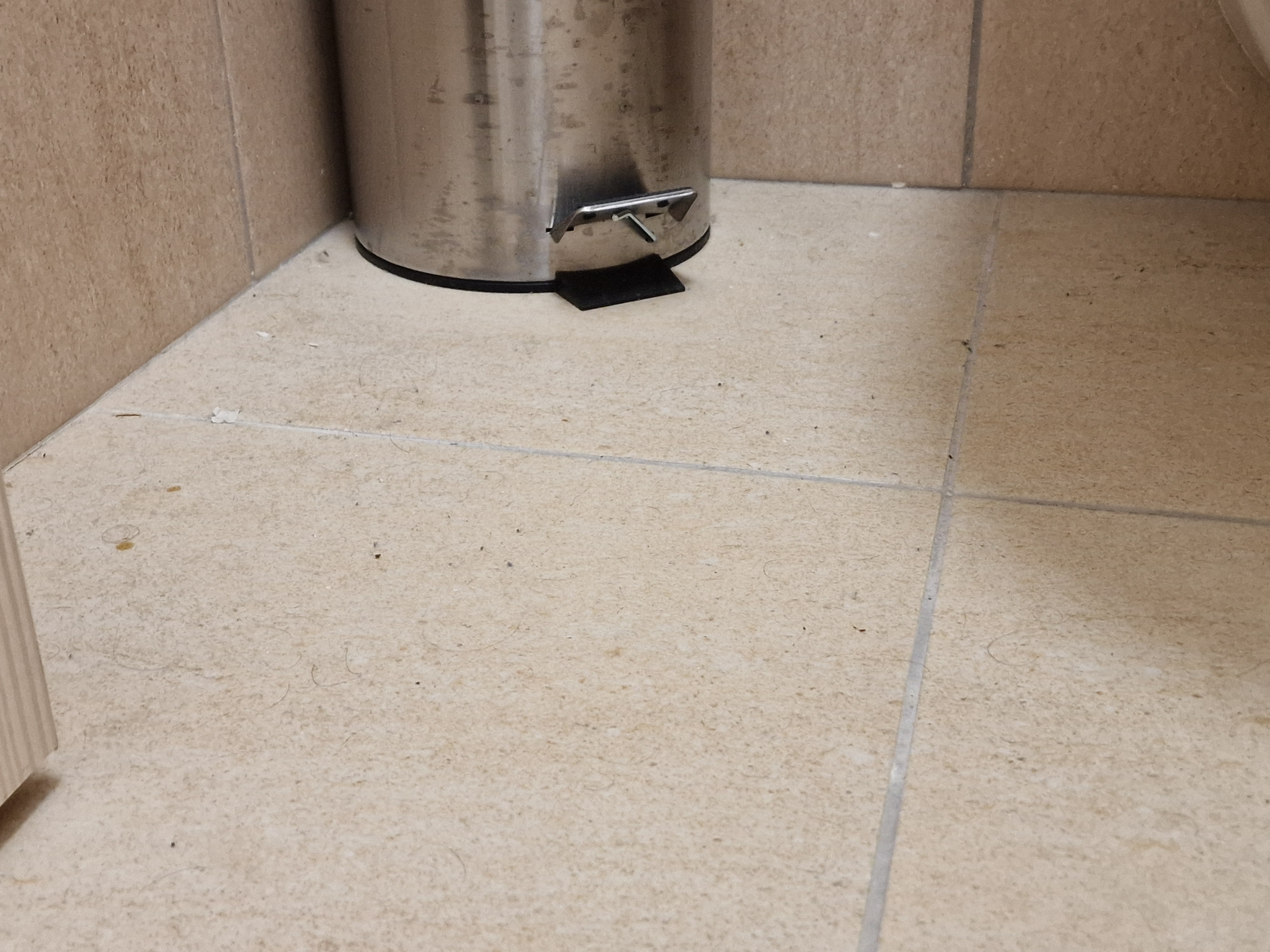 Penzion ČESKÁ FARMA foto 4