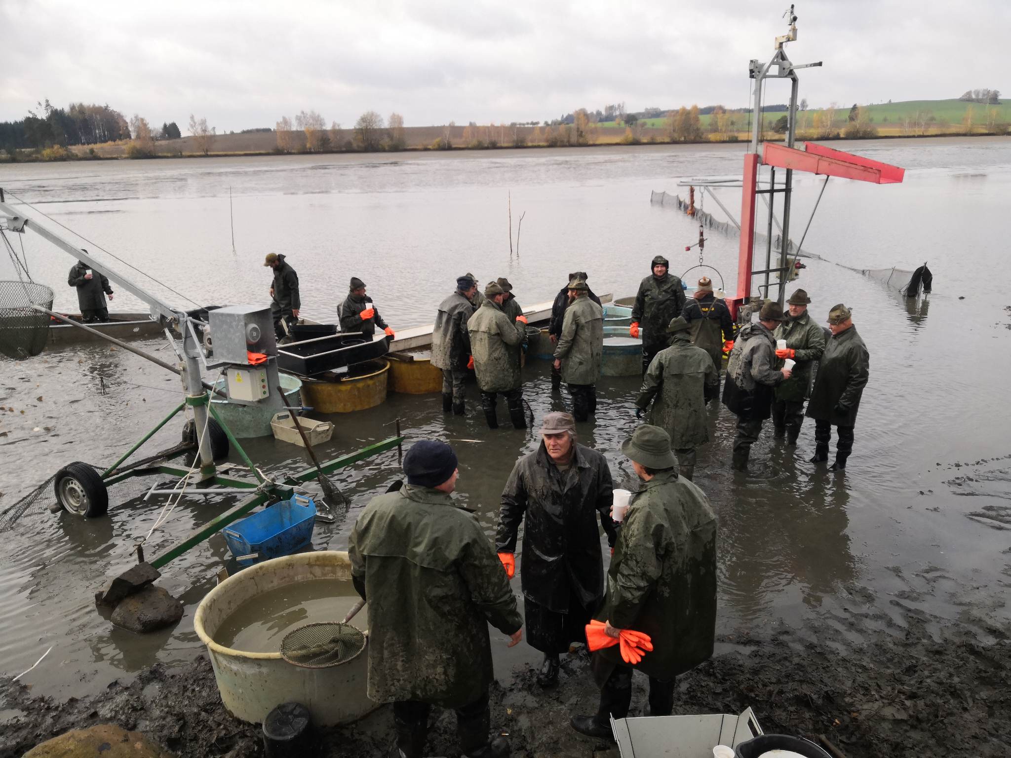 Michal Nechvátal - Prodej ryb foto 6