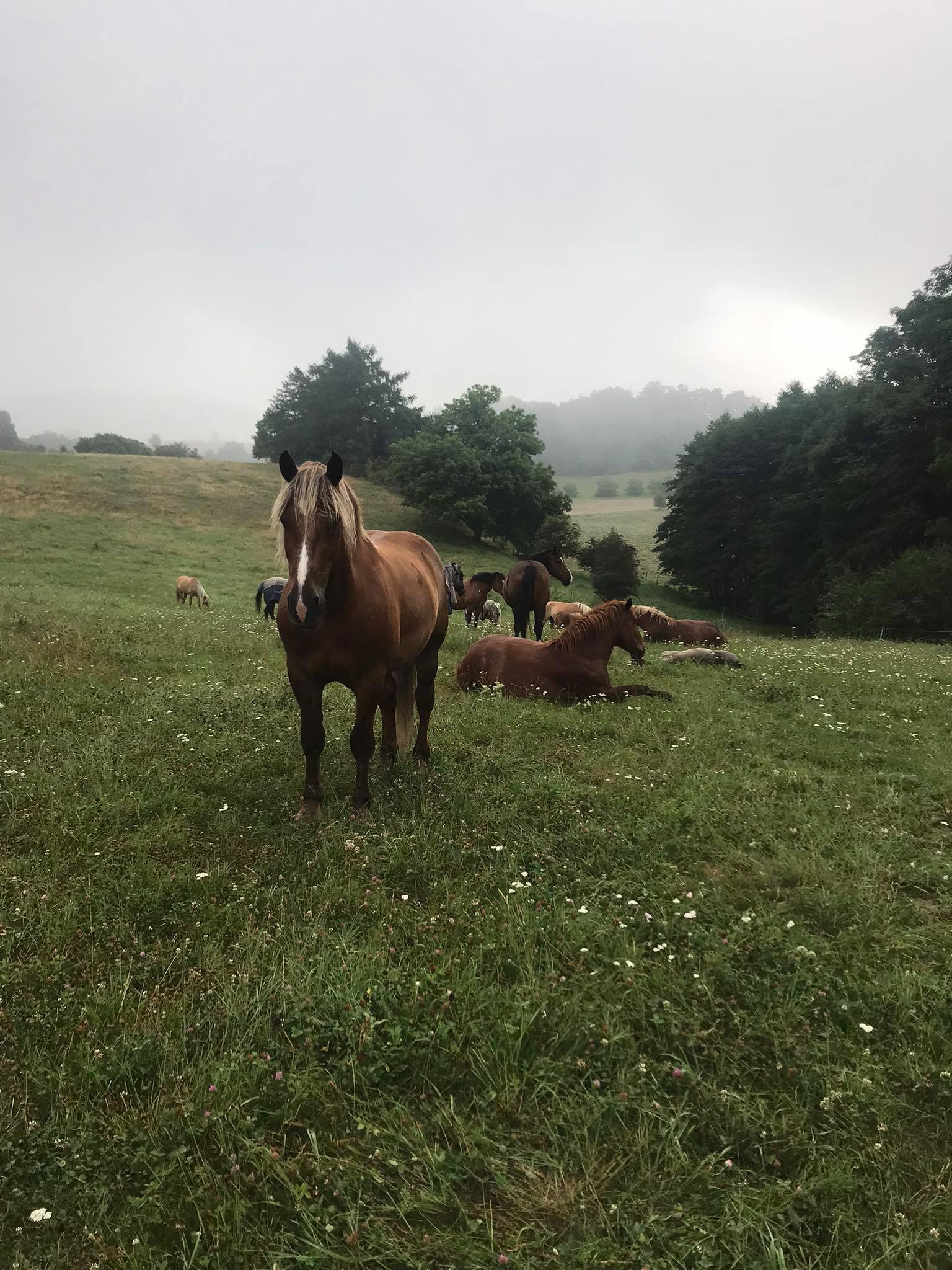 Ranč u Jasanu foto 6